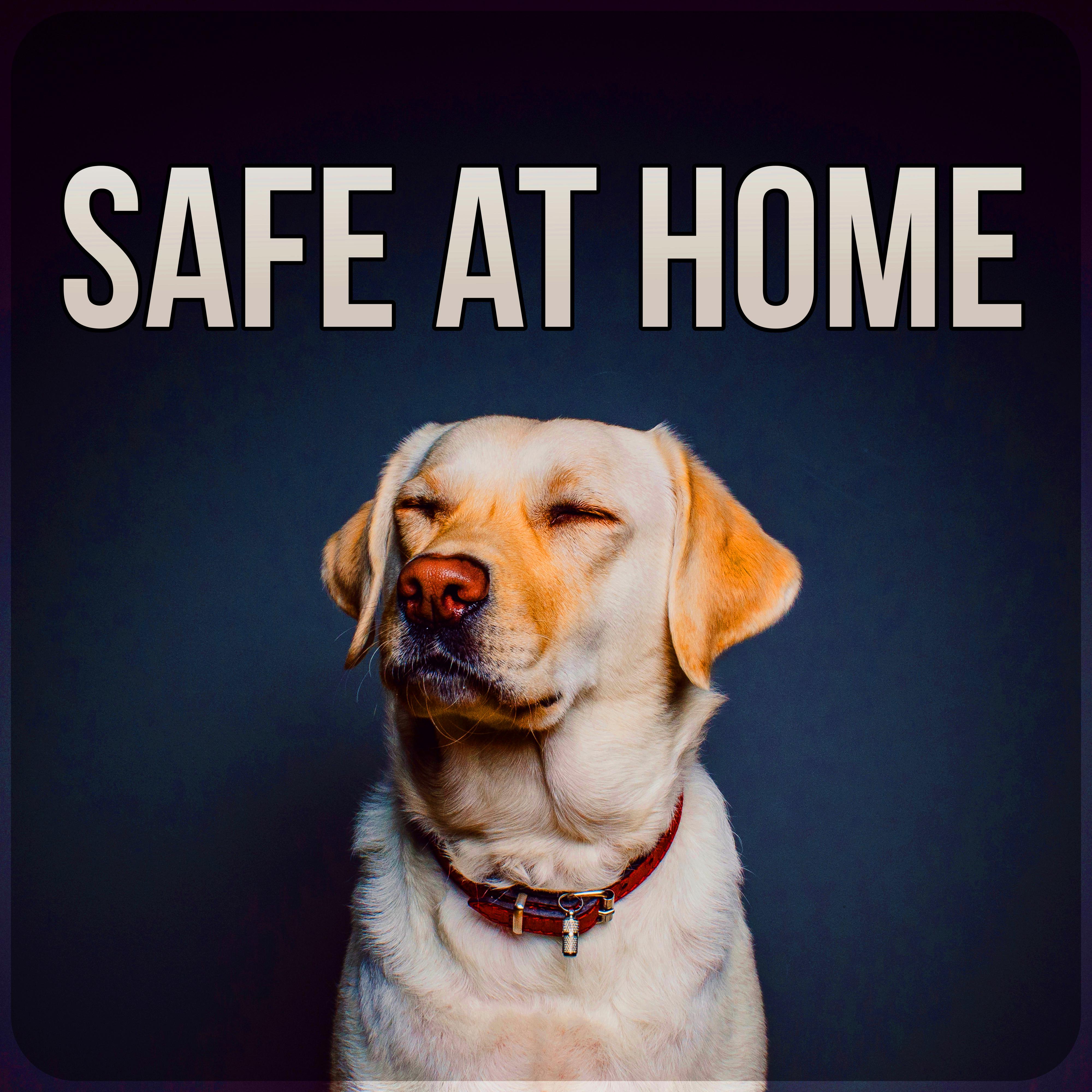 Safe at Home - Calming Music to Relax and Calm Down Your Dog, Pet Relaxation, Stress Relief, Anxiety Medication