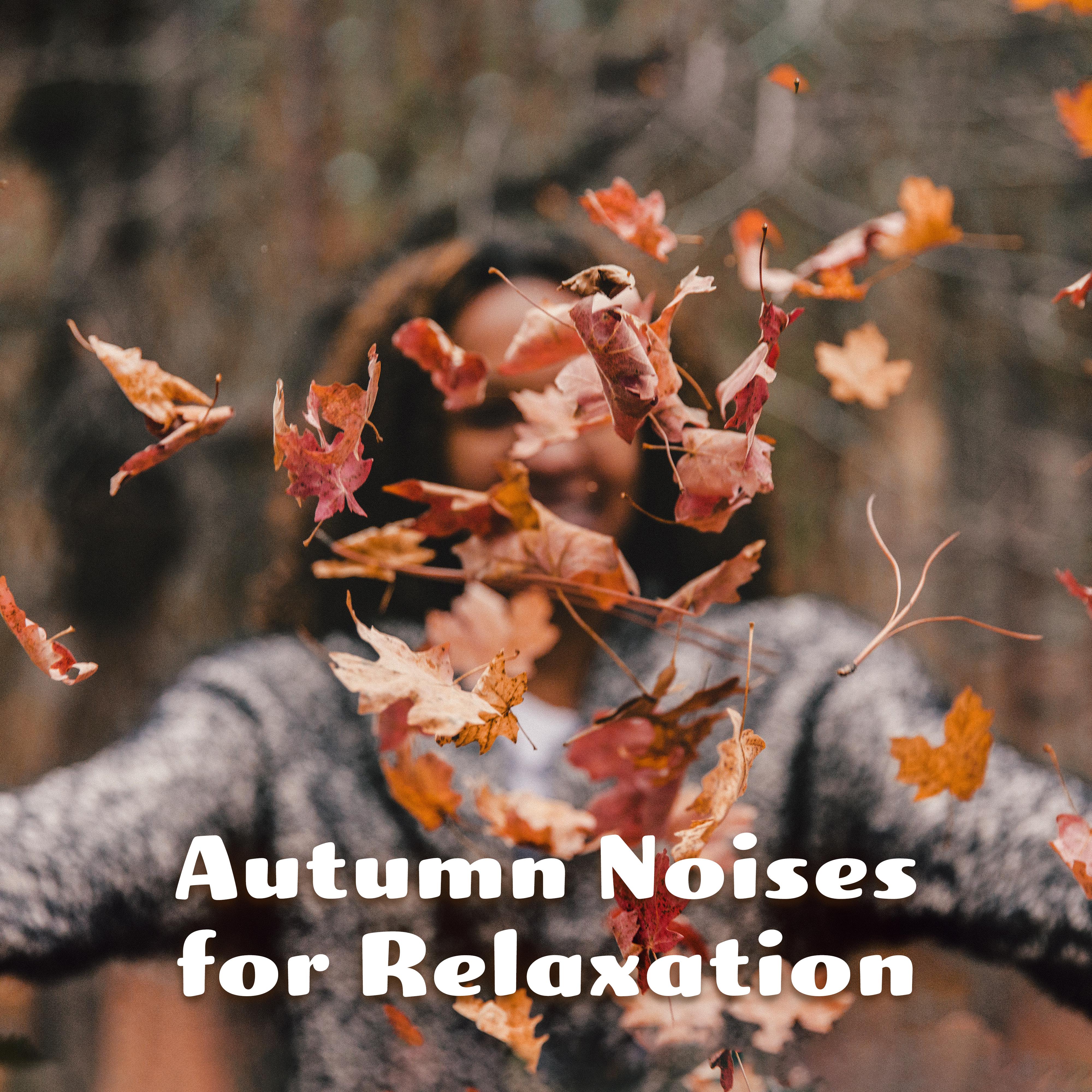 Autumn Noises for Relaxation