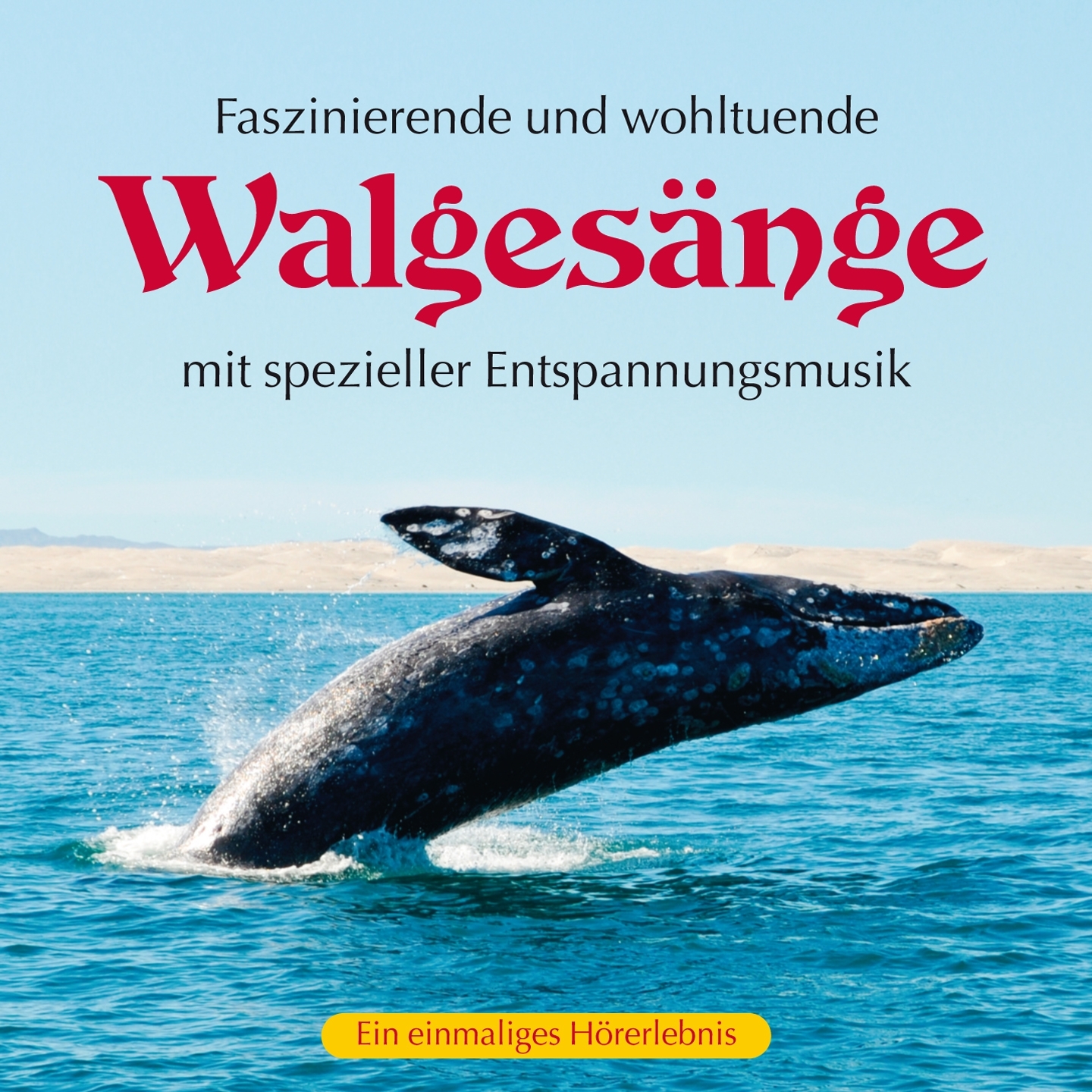 Traumhaft friedvolle Walges nge, Pt. 2 ge