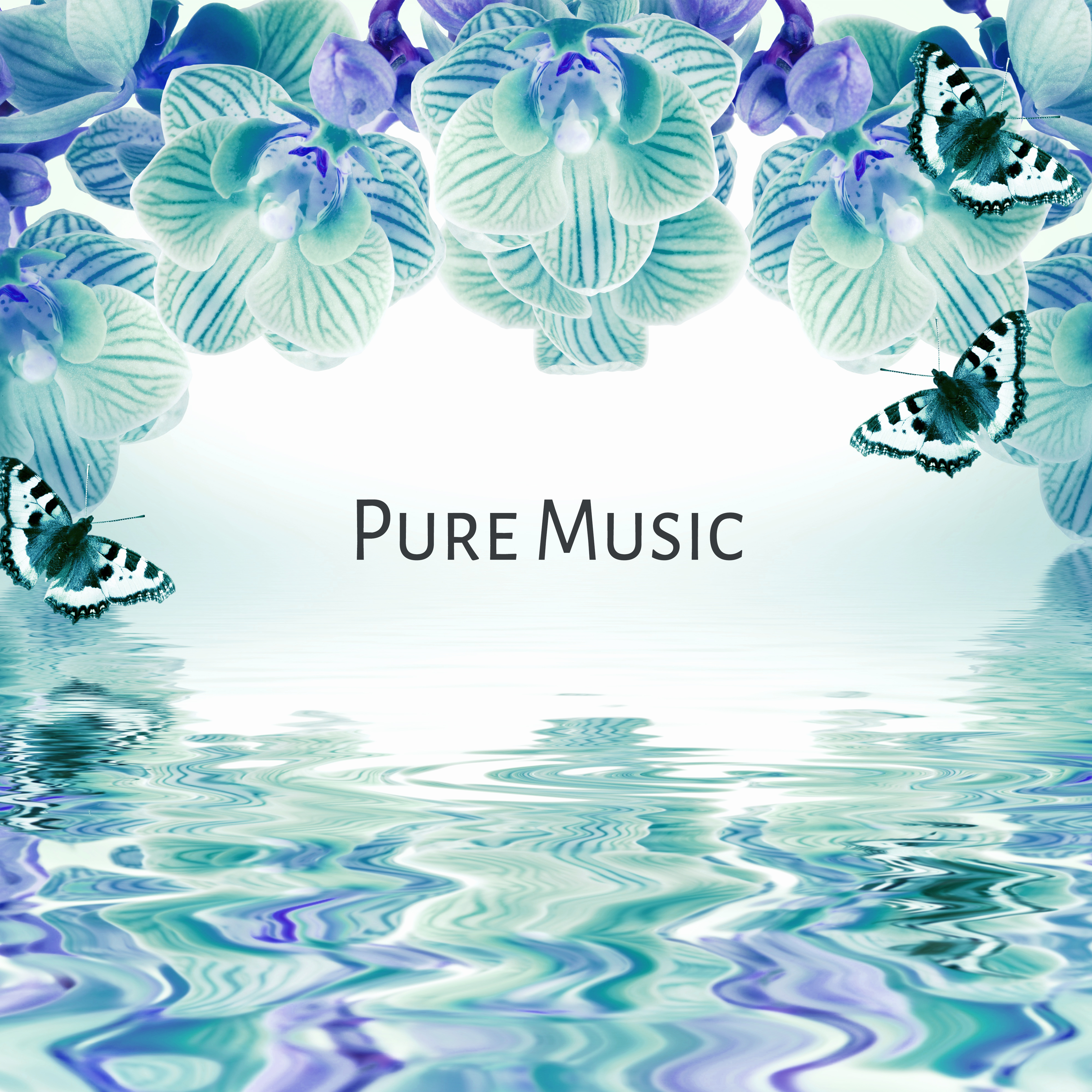 Pure Music  Massage Music, Spa Music, Wellness Ambience, Therapy Music, Mindfulness Meditation, Nature Sounds