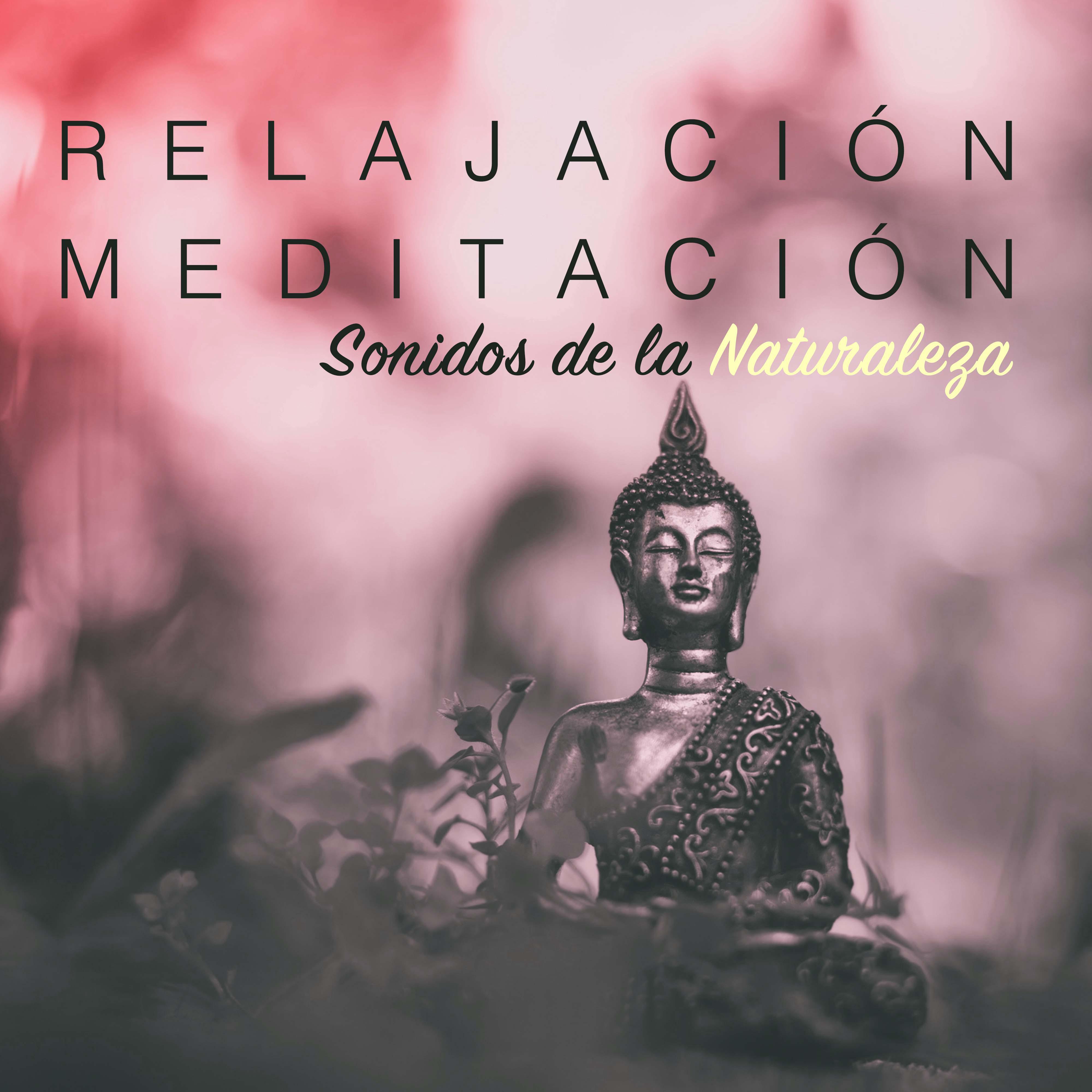 Relajacio n y Meditacio n: Sonidos de la Naturaleza  Dulces Sue os con Mu sica Relajante para Sanar el Alma