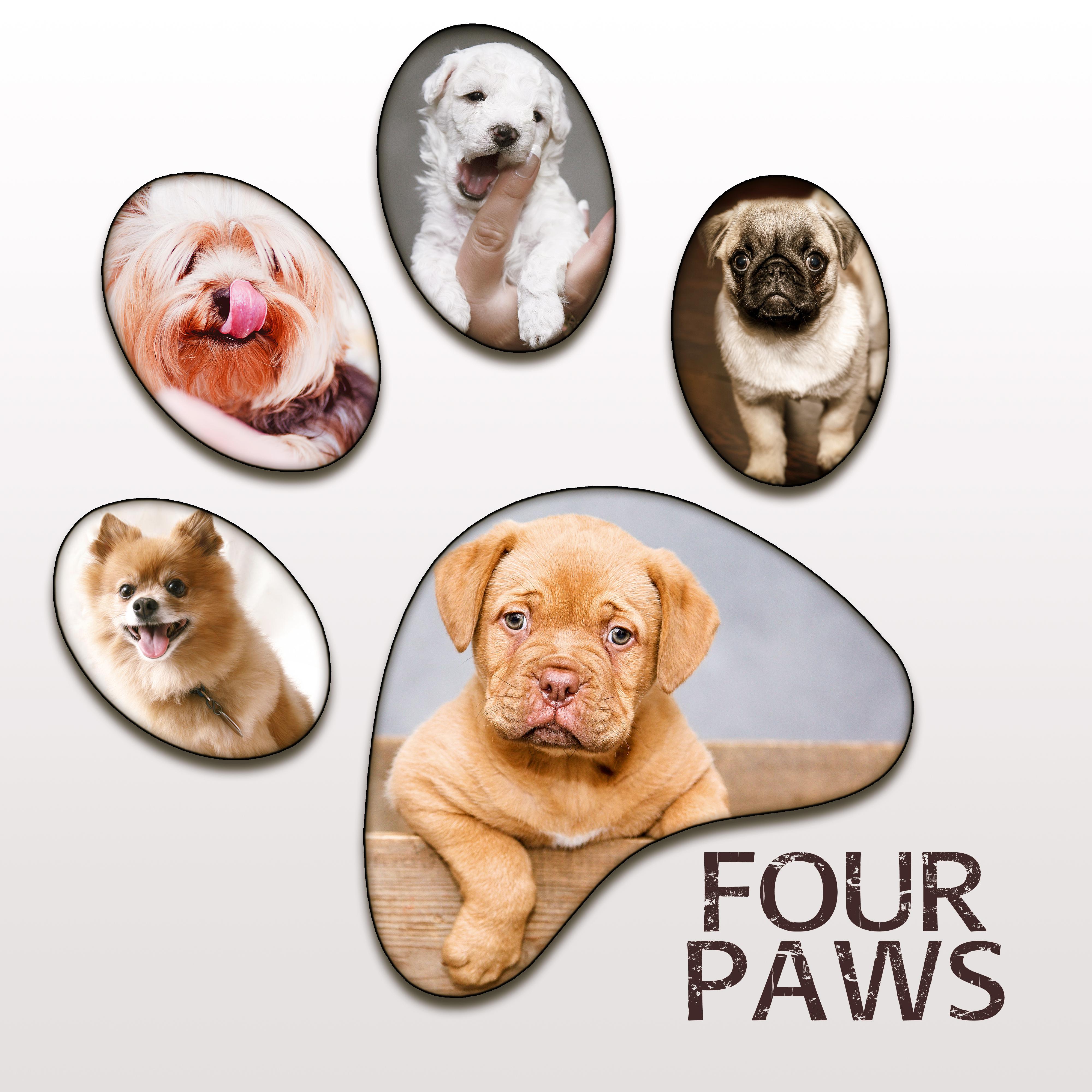 Four Paws - Instrumental Mellow Music and Calming Down Nature Sounds to Relax Your Dog & Cat When They Are Alone at Home