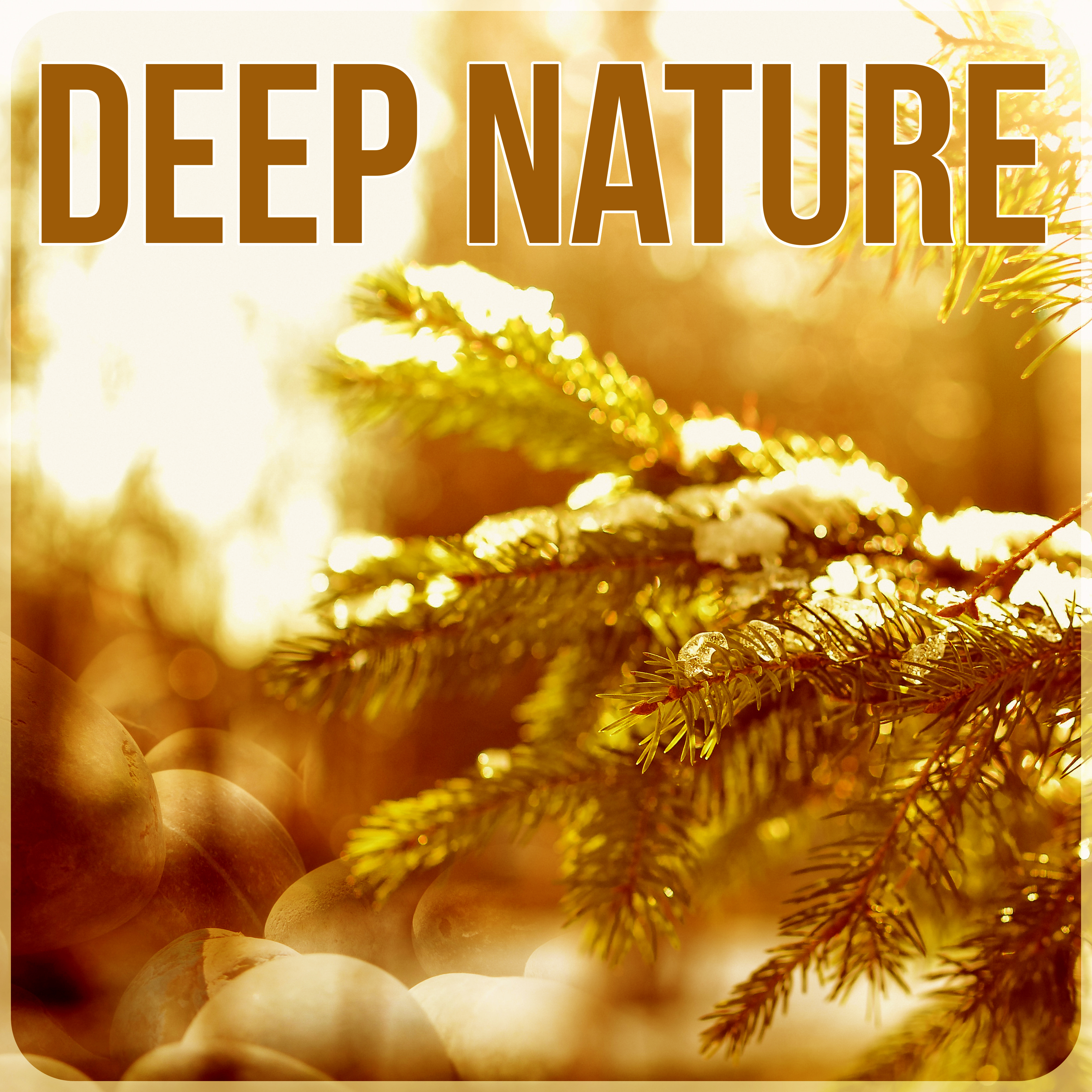 Deep Nature  Soothing Music, Relaxing Ocean Waves Sounds, Calming Nature Sounds, White Noise, Healing Music, Sleep Sounds, Tranquility, New Age