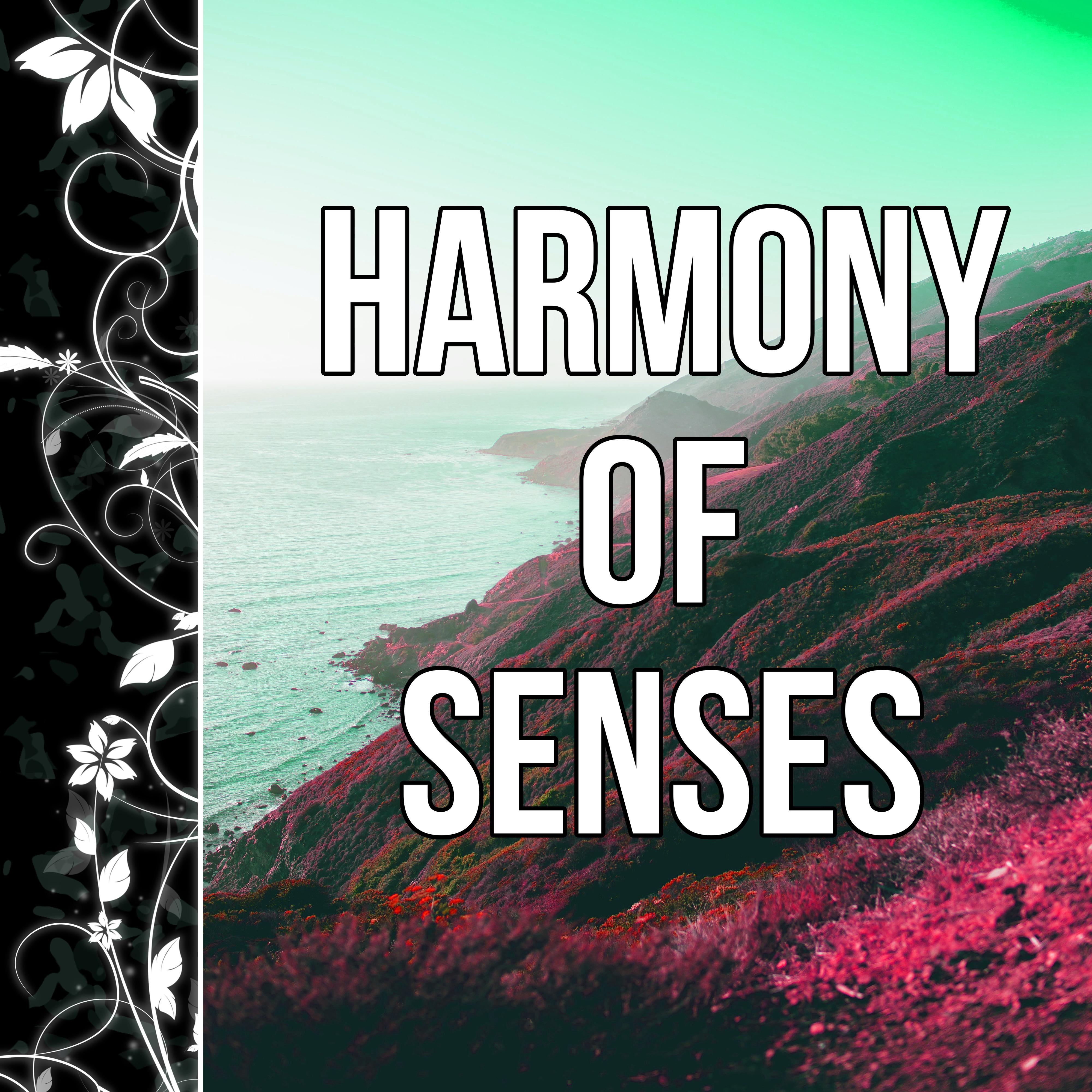 Harmony of Senses - Stress Relief Background Music, Inner Peace, Soothing Sounds & Beautiful Piano Music