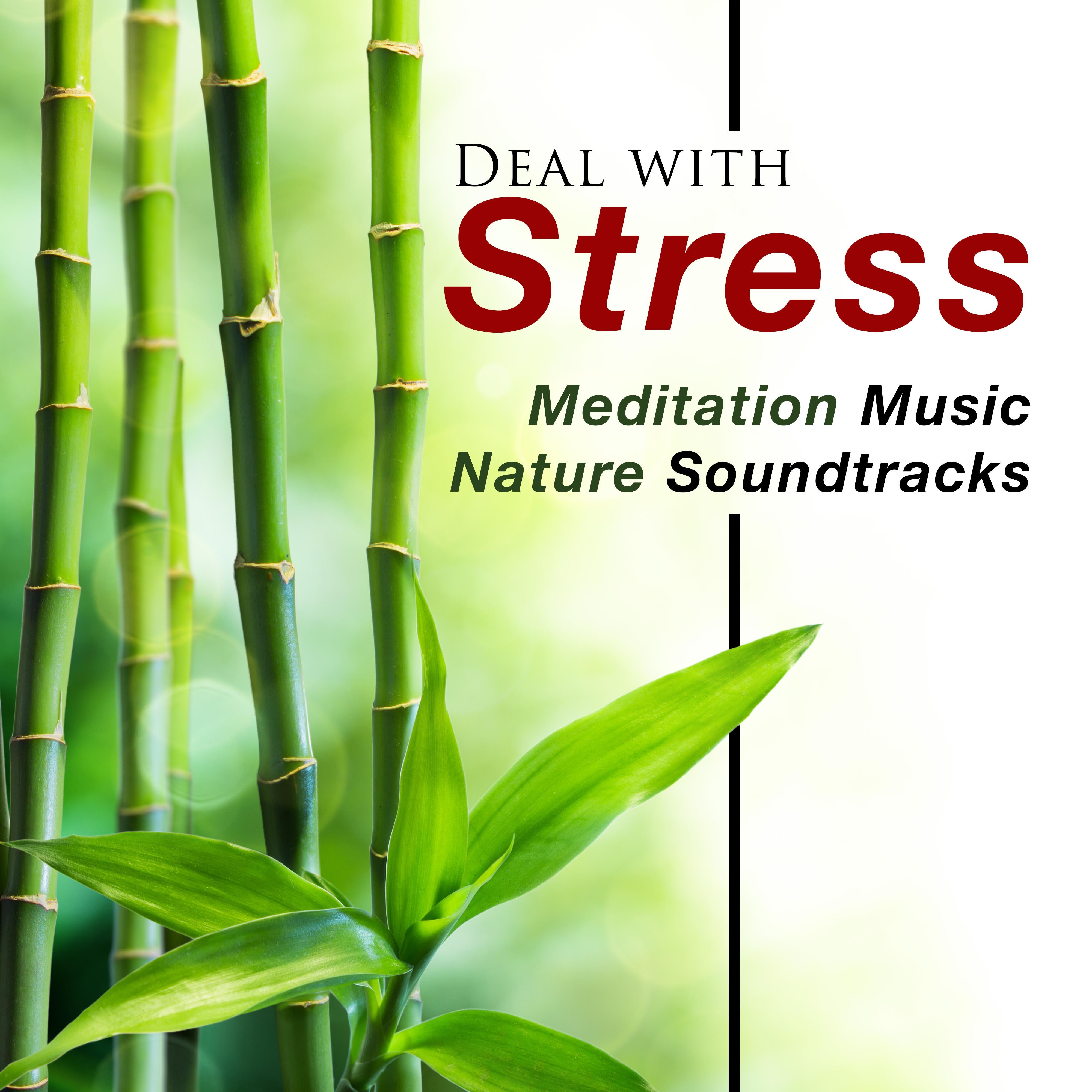 Deep Meditation with Nature Sounds