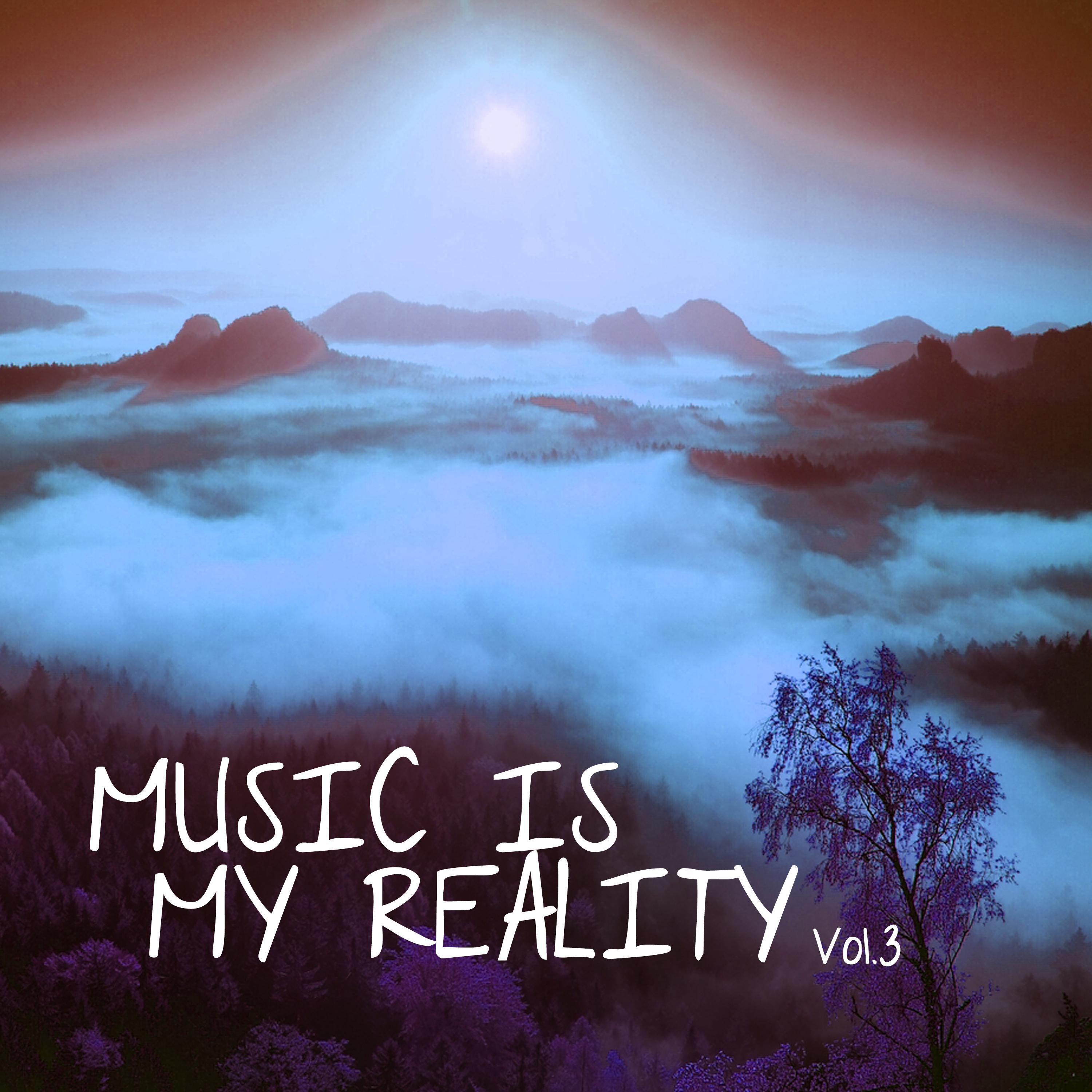Music Is My Reality, Vol. 3