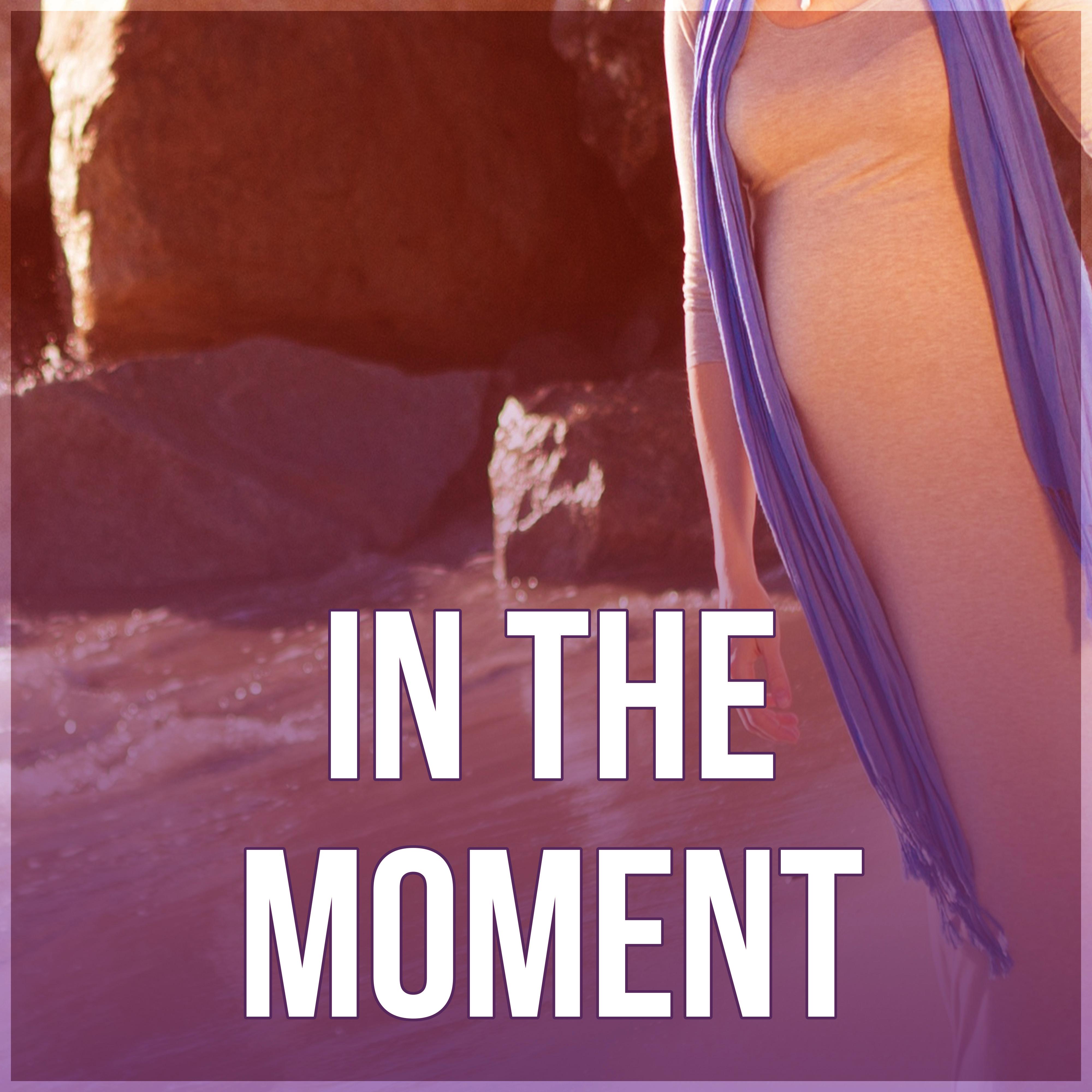 In the Moment - Mom and Baby, Nature Sounds for Pregnancy and Birth, Guided Meditations for Conception and Pregnancy