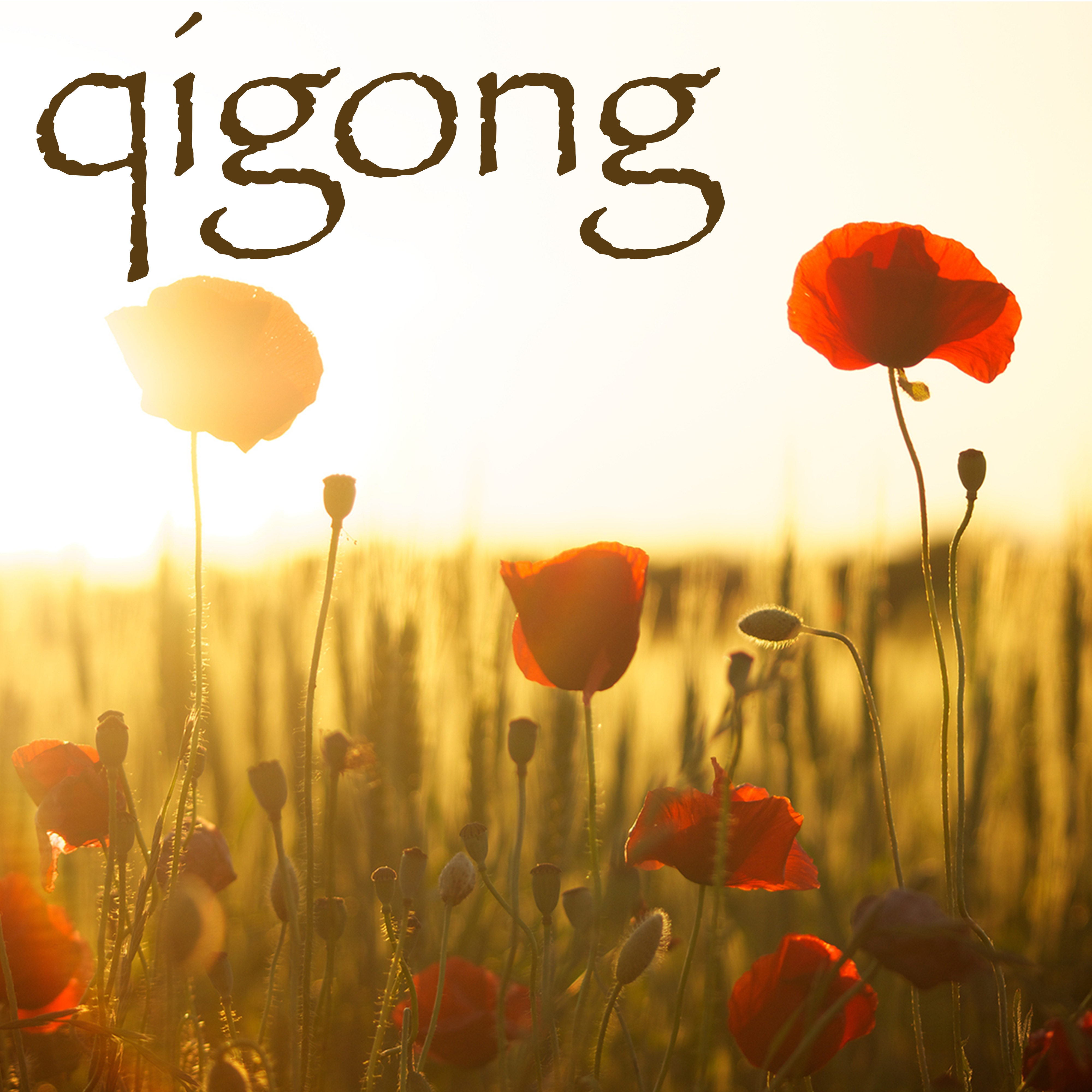 Qigong - Chi Gong Oriental Music with Relaxing Nature Sounds