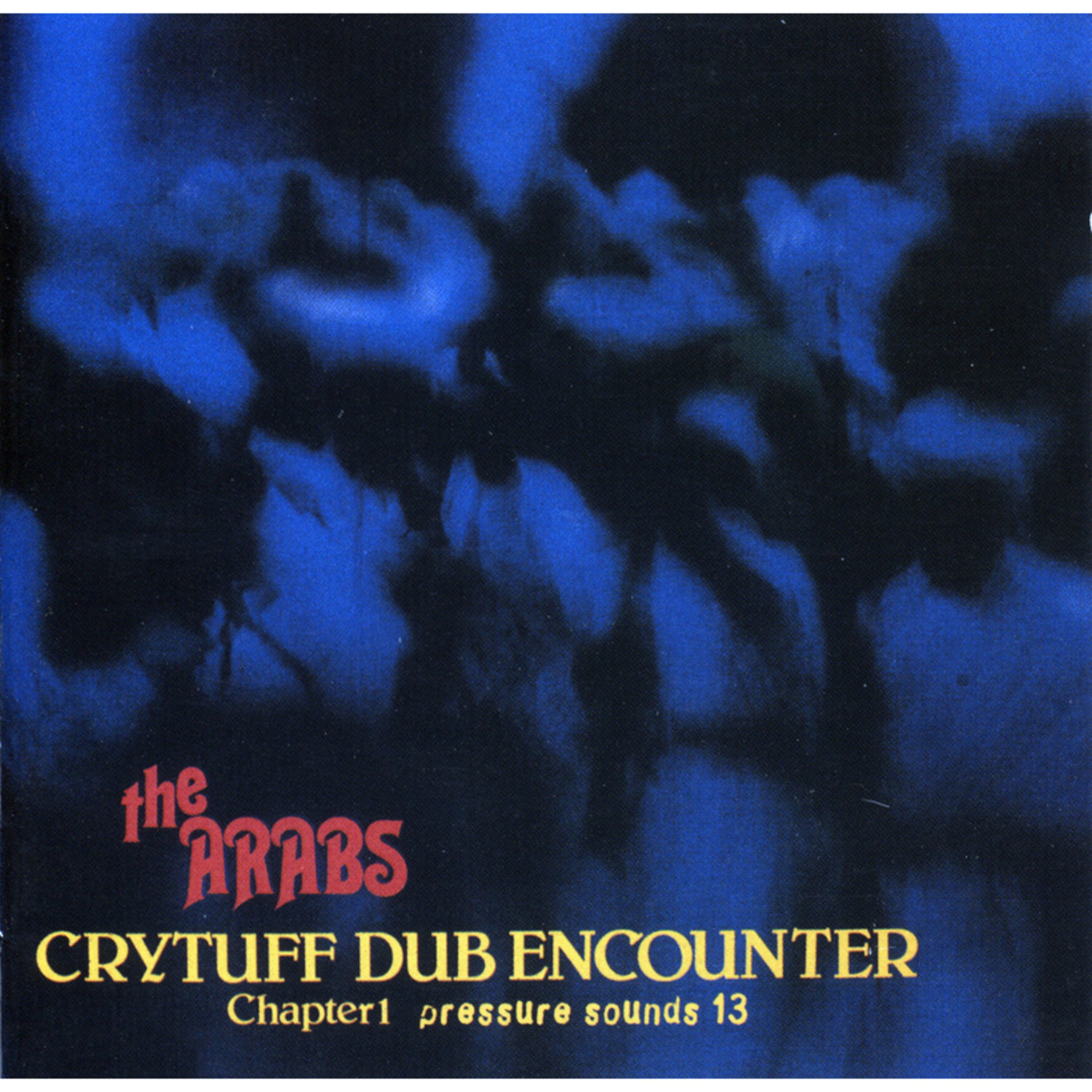 Crytuff Dub Encounter: Chapter One