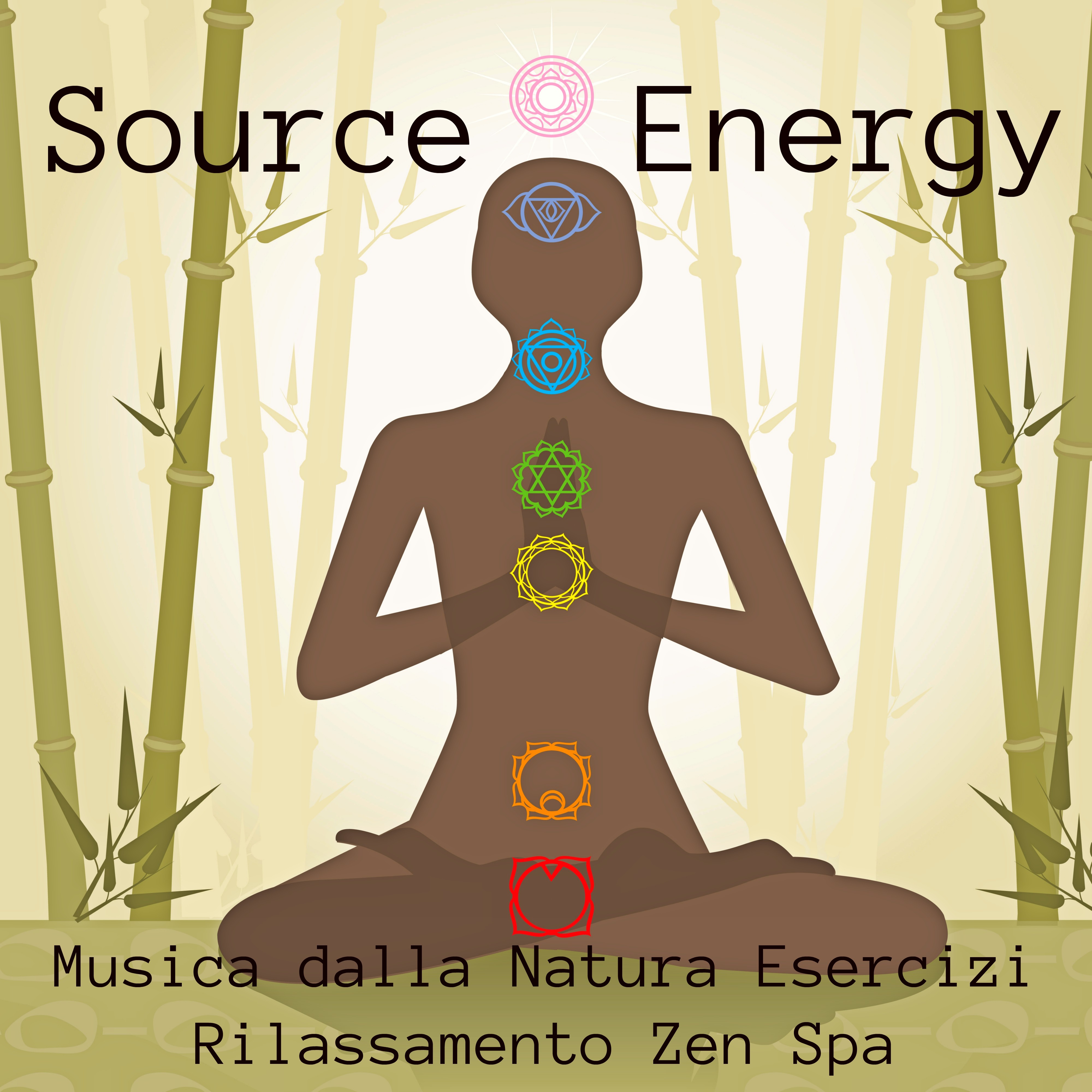 Source Energy - Musica dalla Natura Esercizi Rilassamento Zen Spa per Stare Bene con Se Stessi Equilibrare Chakra Meditazione Guidata