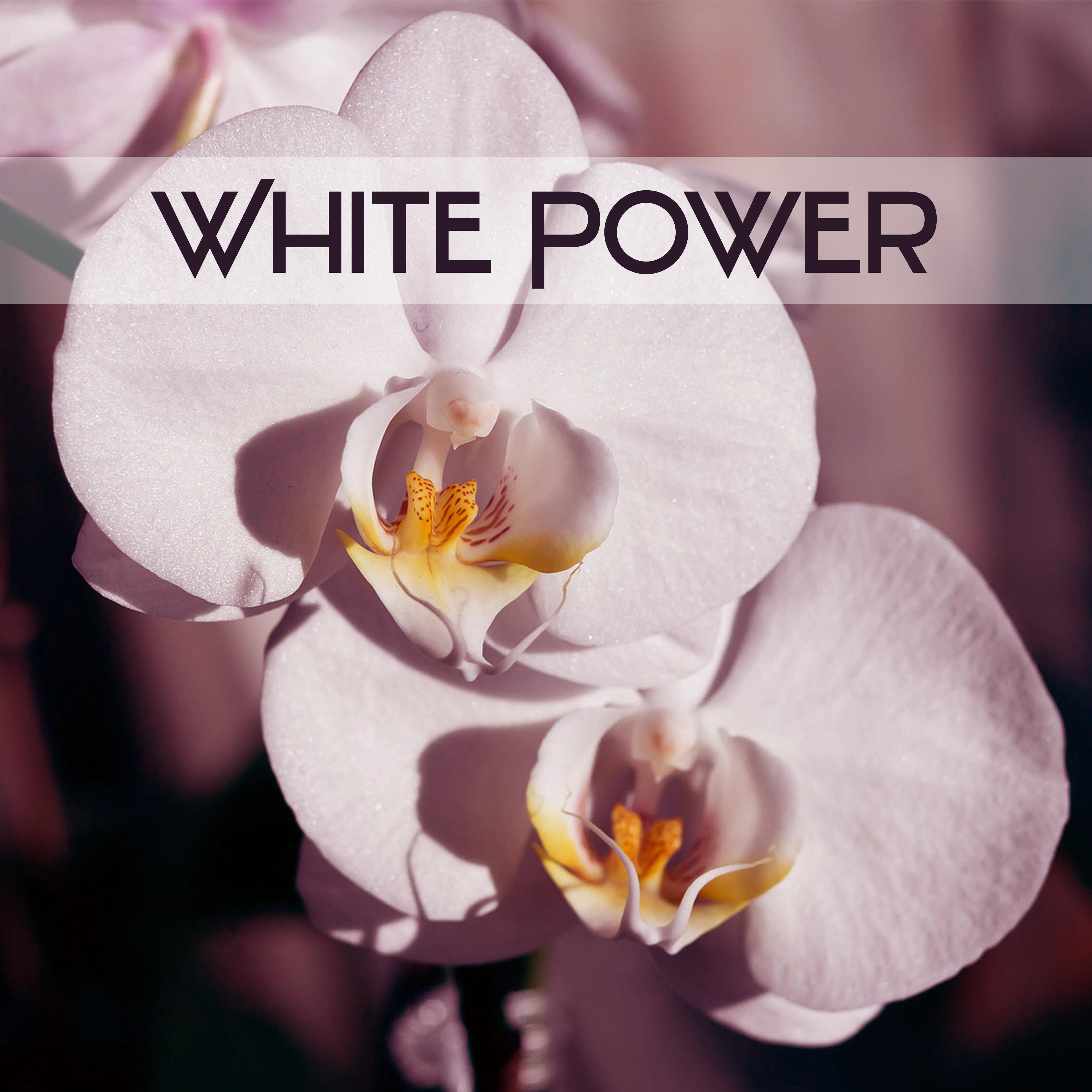 White Power  Moment for Exercises of Yoga, Music for Meditation, Concentration Melody, Wonderful Time Rest, Mute and Listen to Inside