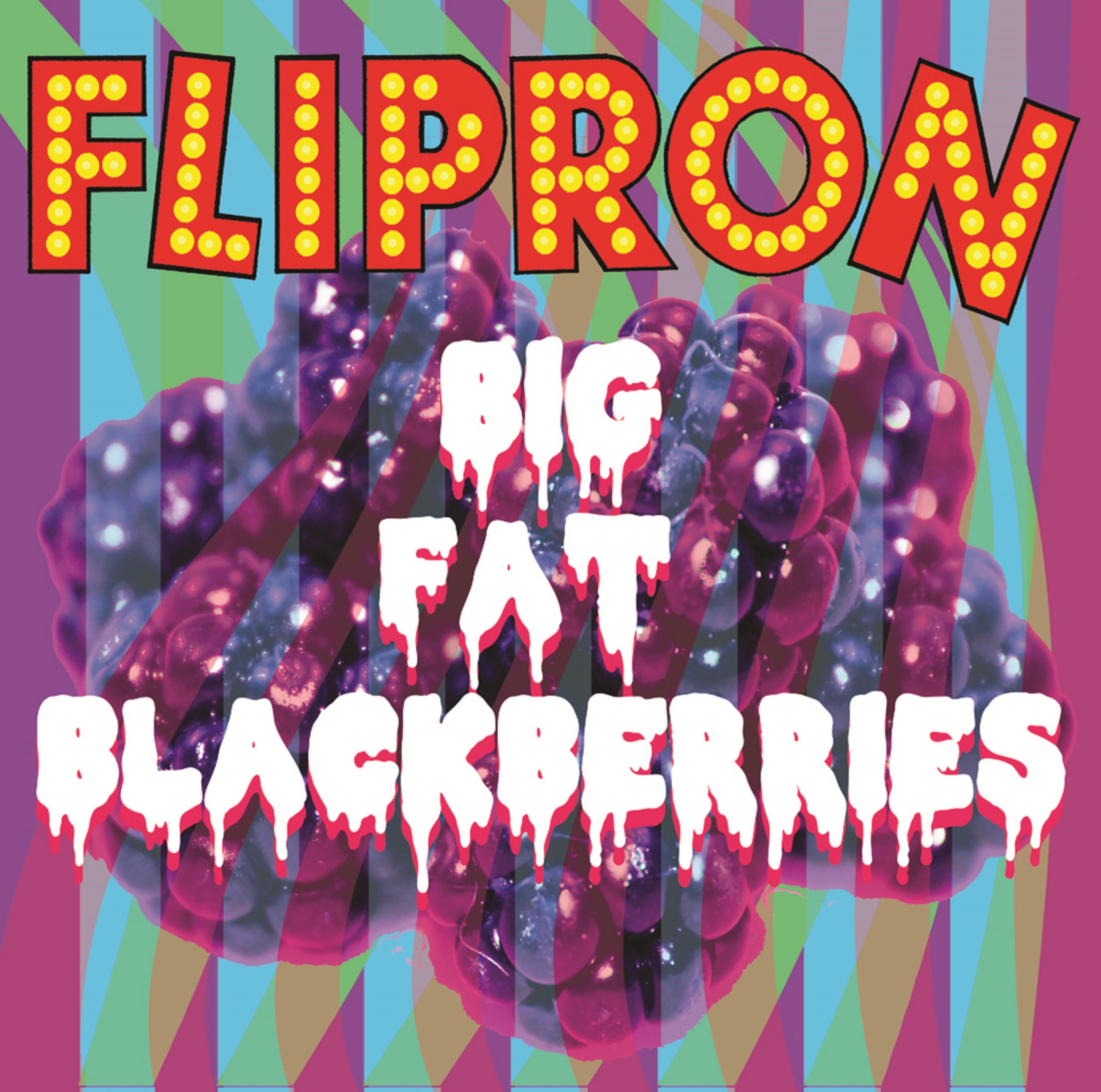 Big Fat Blackberries