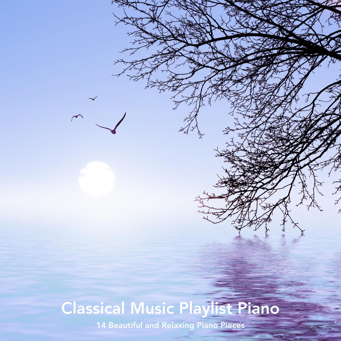 Classical Music Playlist Piano: 14 Beautiful and Relaxing Piano Pieces
