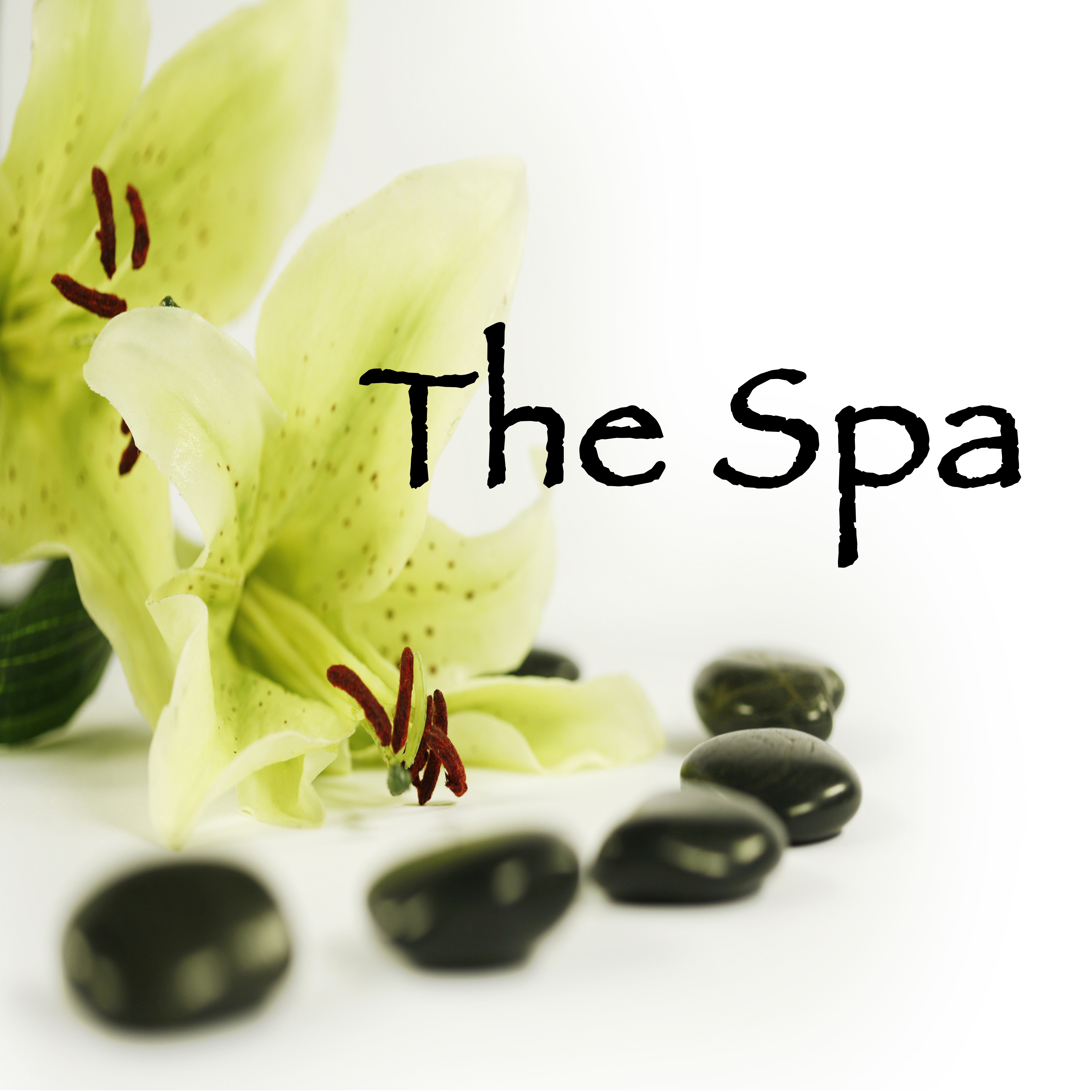 The Spa  Amazing Relax Music for Spa Treatments in Wellness Center  Spa Retreats