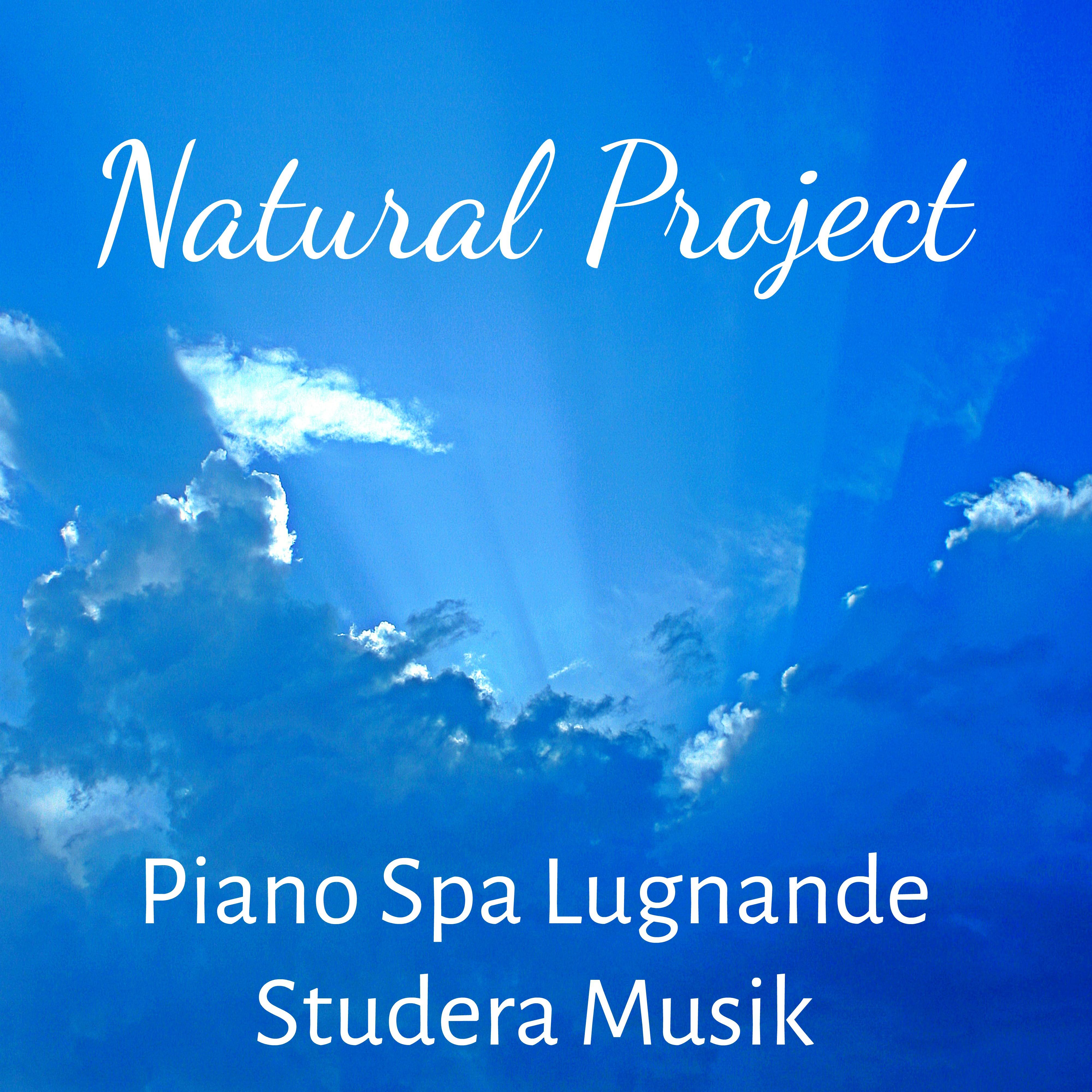 Natural Project  Piano Spa Lugnande Studera Musik f r Djup S mn Yoga vningar med H lsa Mental vning Mjuk Natur Ljud