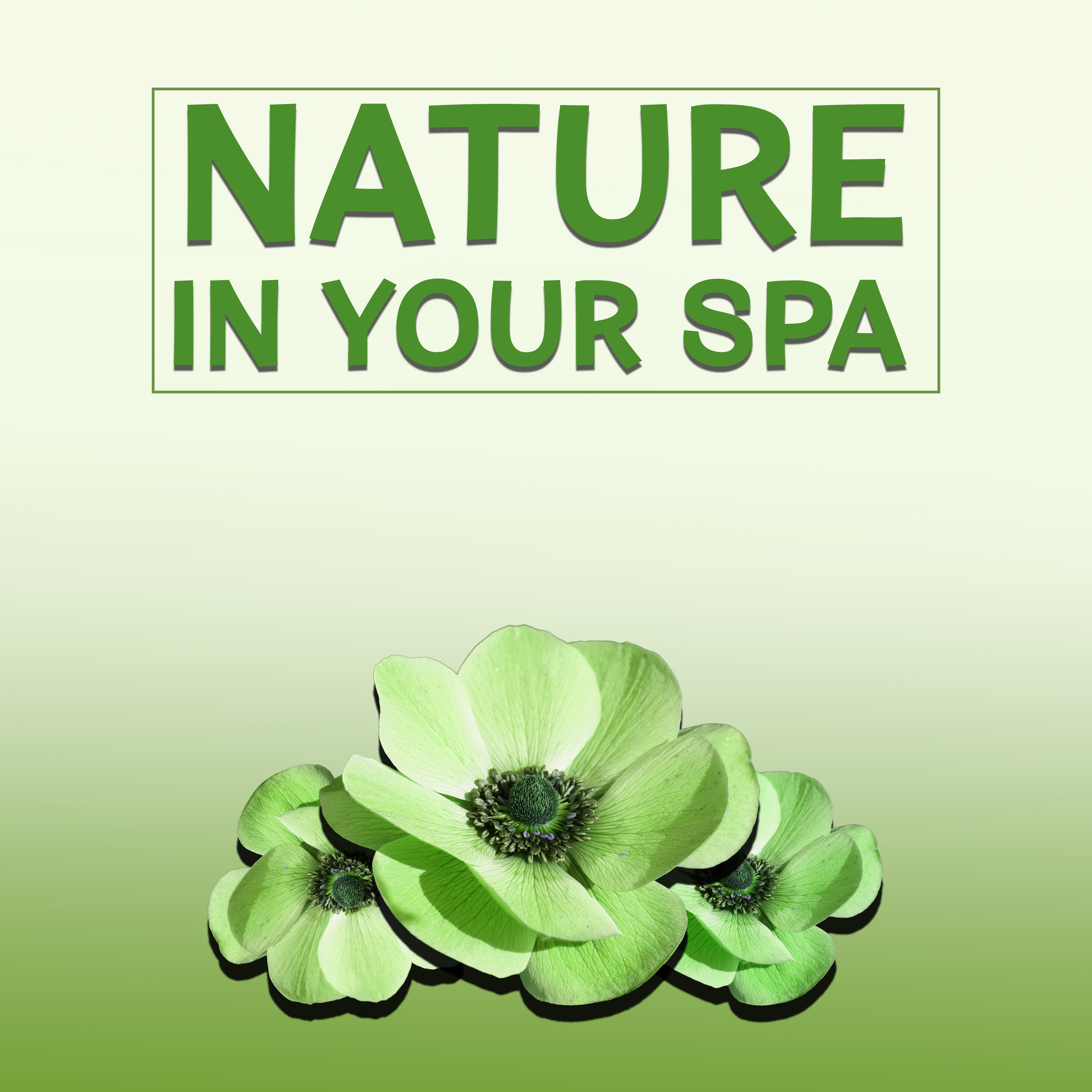 Nature in Your Spa  Relaxation Wellness, Peaceful Music for Massage, Spa, Soothing Piano, Nature Sounds to Rest, Spa Dreams