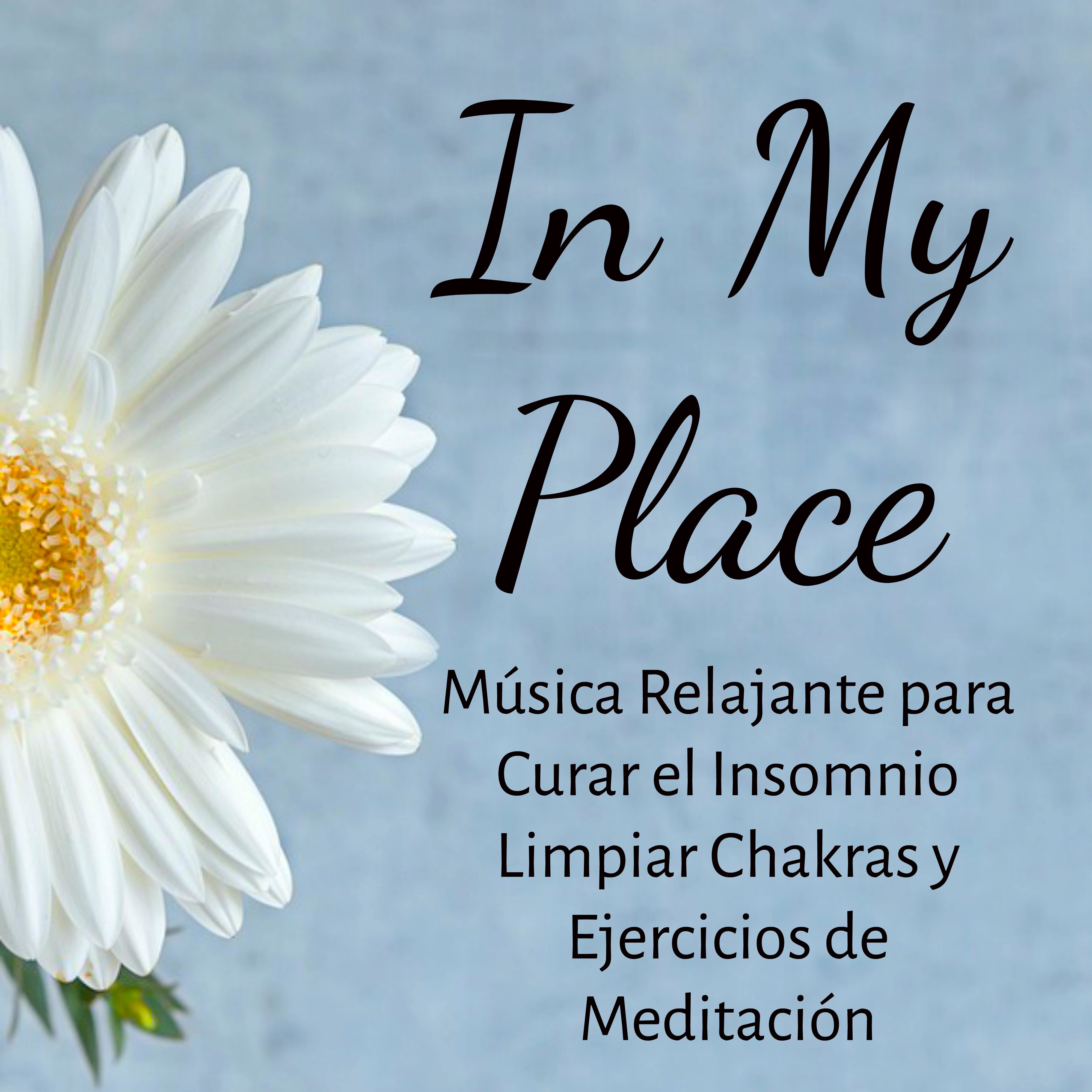 In My Place  Mu sica Relajante para Curar el Insomnio Limpiar Chakras y Ejercicios de Meditacio n con Sonidos Zen New Age Instrumentales