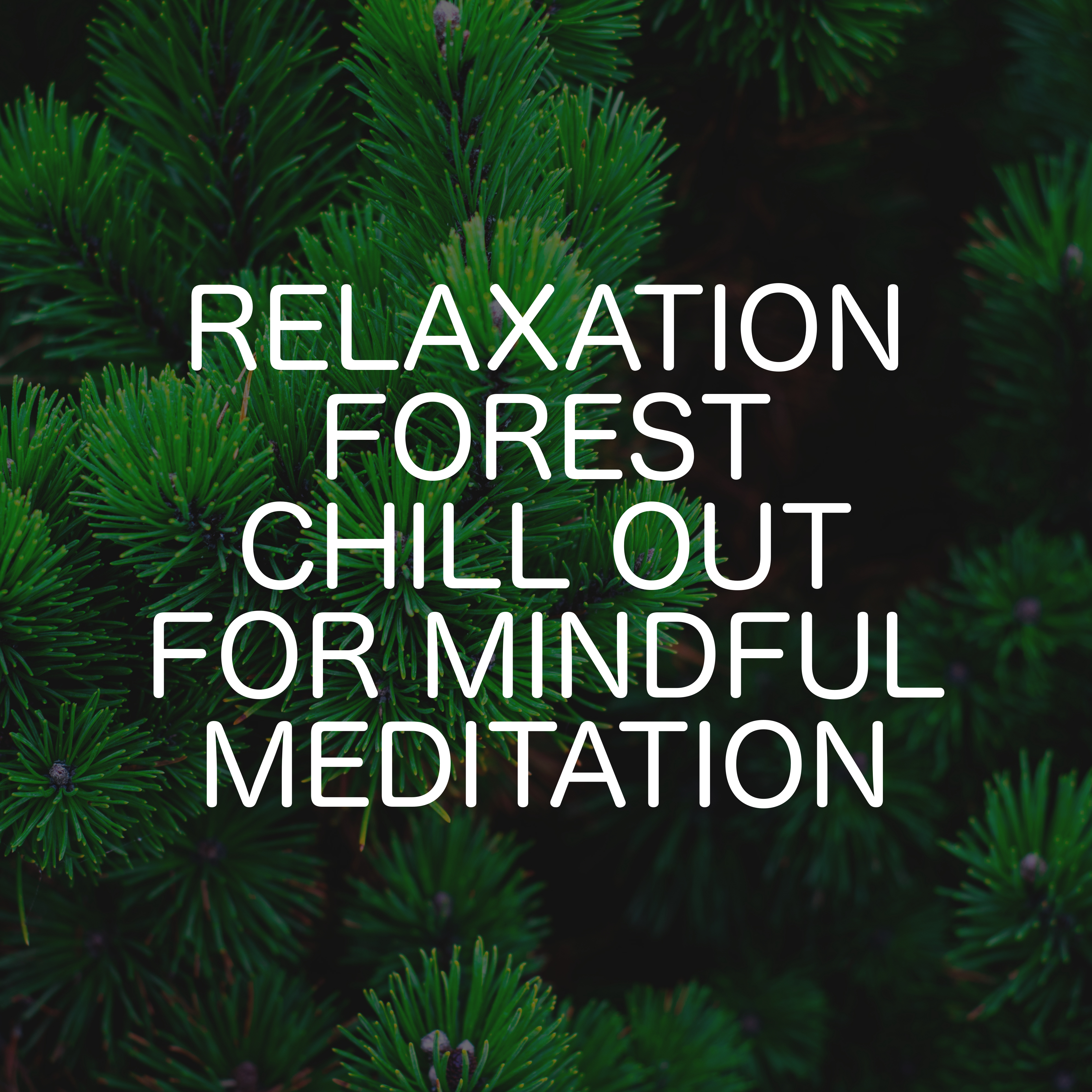 Relaxation Forest Chill Out For Mindful Meditation