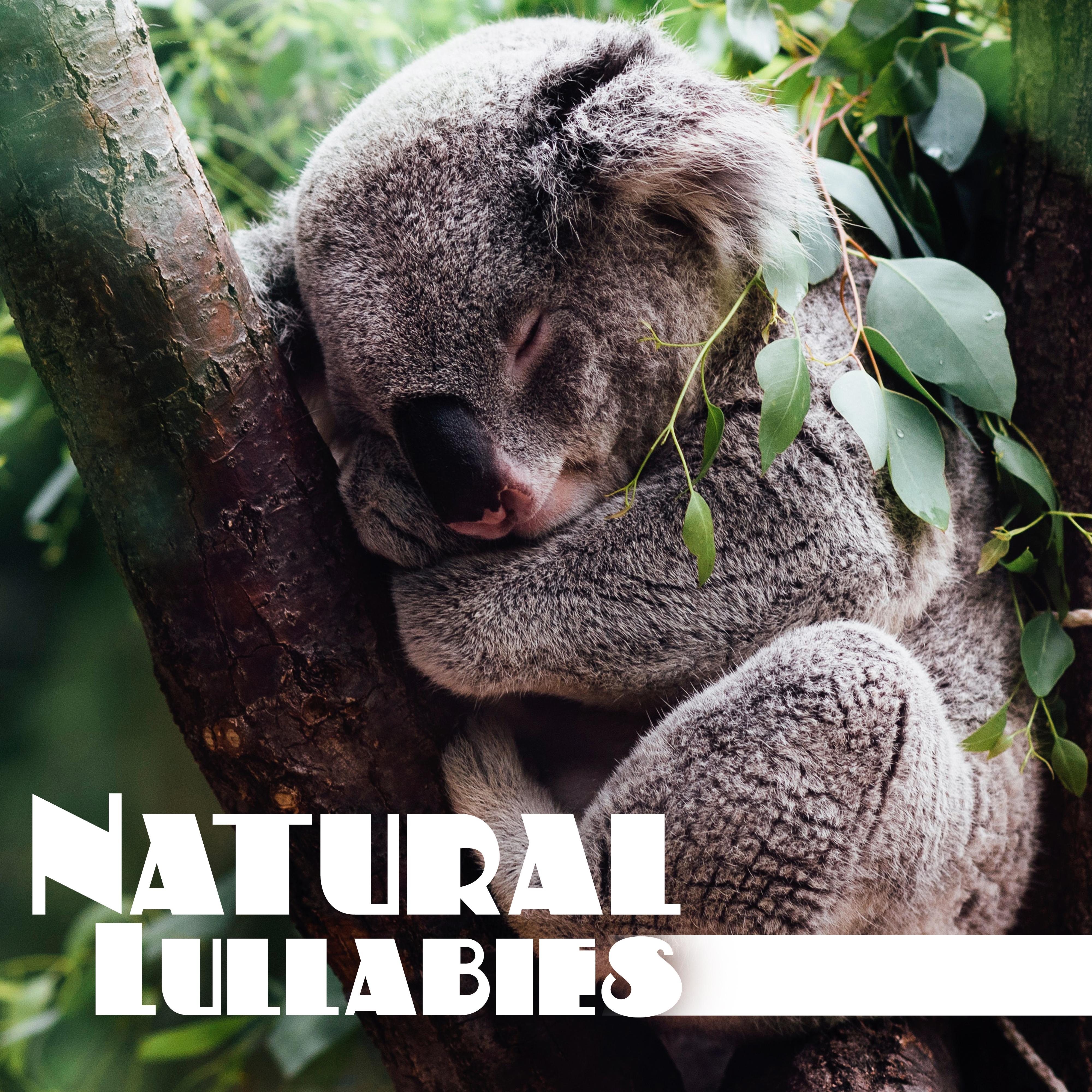 Natural Lullabies  Relaxing Sounds Of Nature for Calm Down Before Sleep, Deep Sleep, Relaxing Music Therapy
