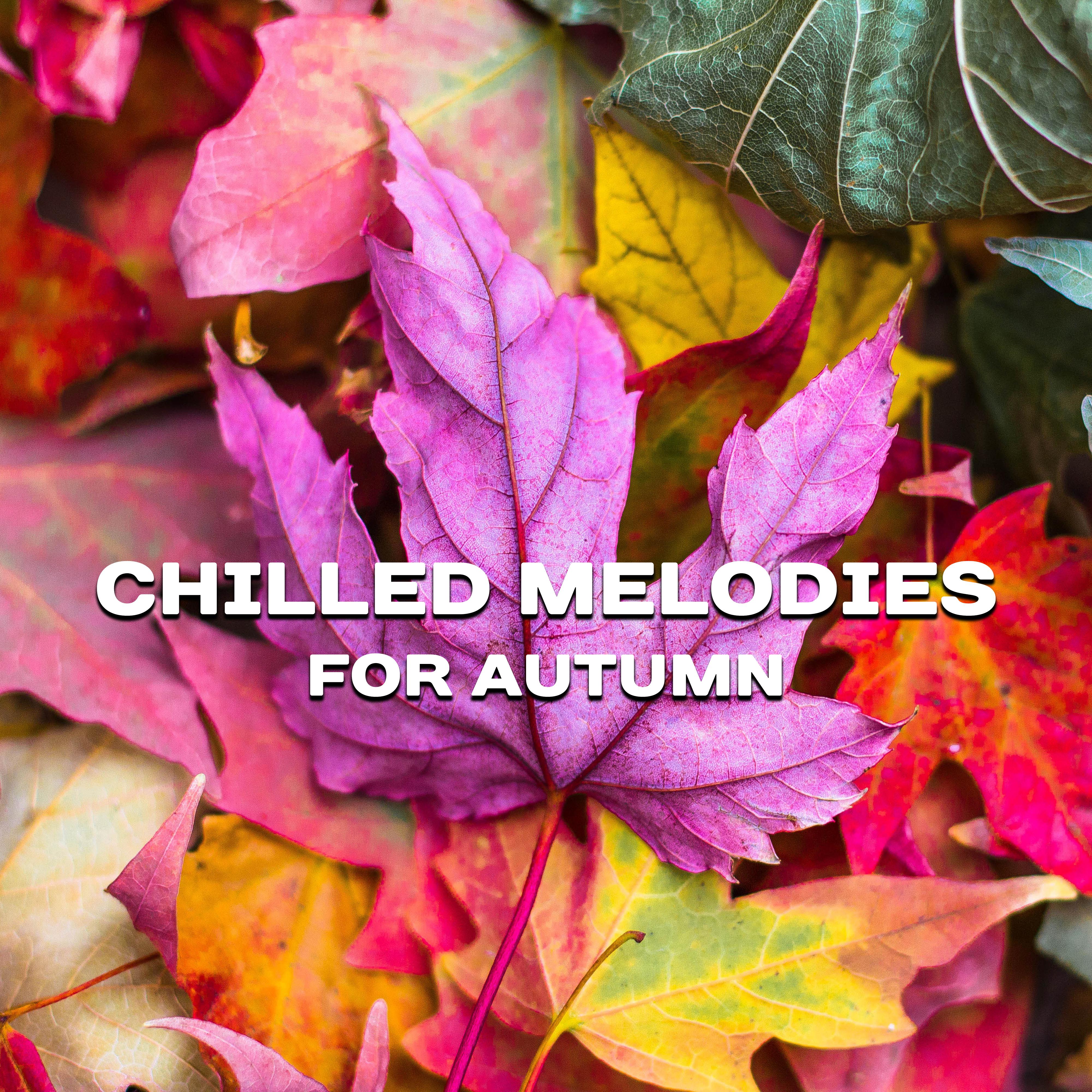 Chilled Melodies for Autumn