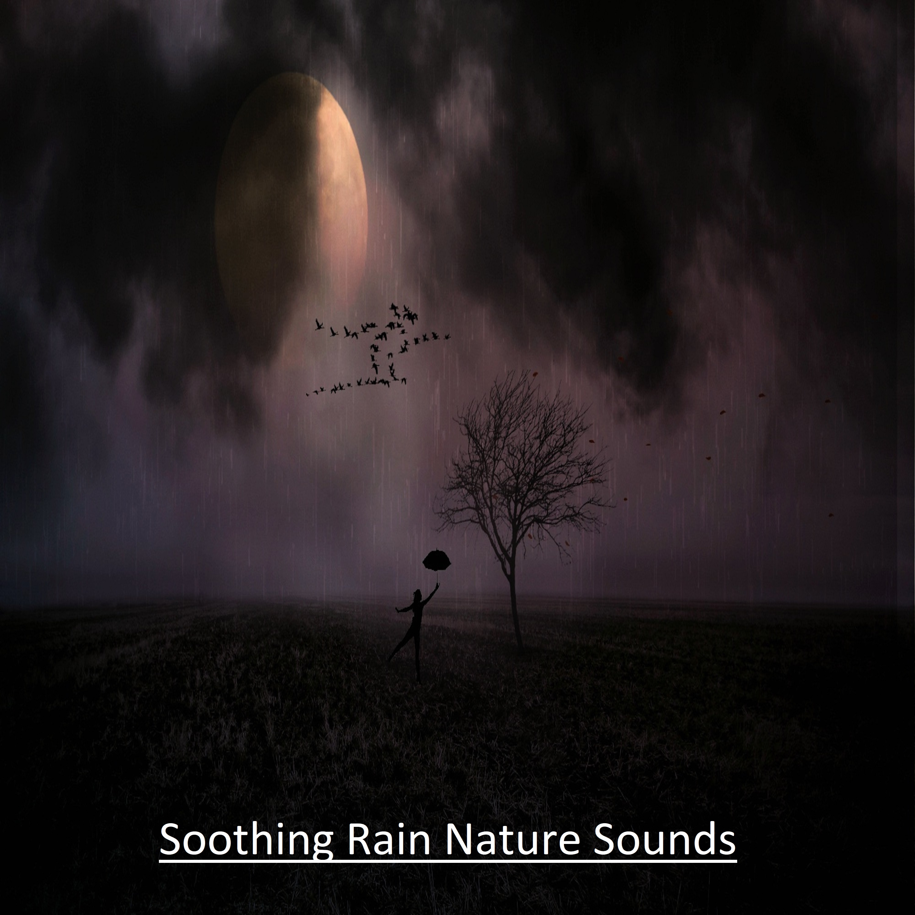 2018 Soothing Rain Sound Nature Sounds