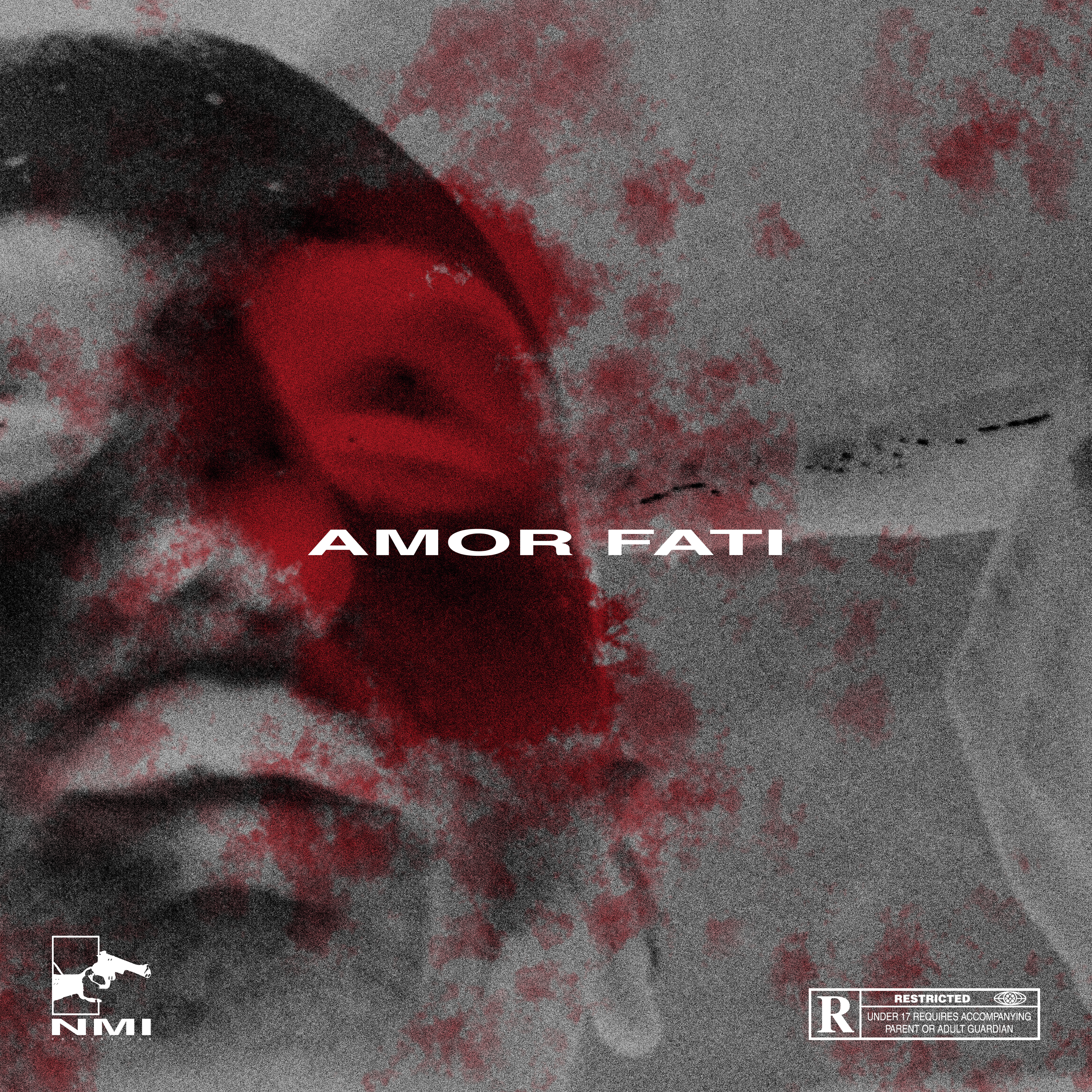 Amor fati