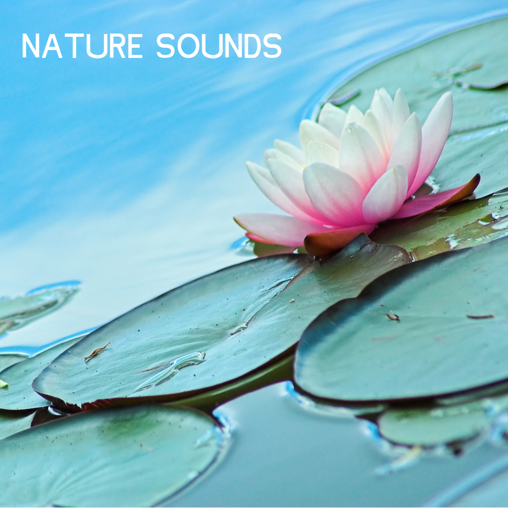 Ocean Sounds and Solo Piano Relaxing Piano Music for Babies. Nature Lullaby