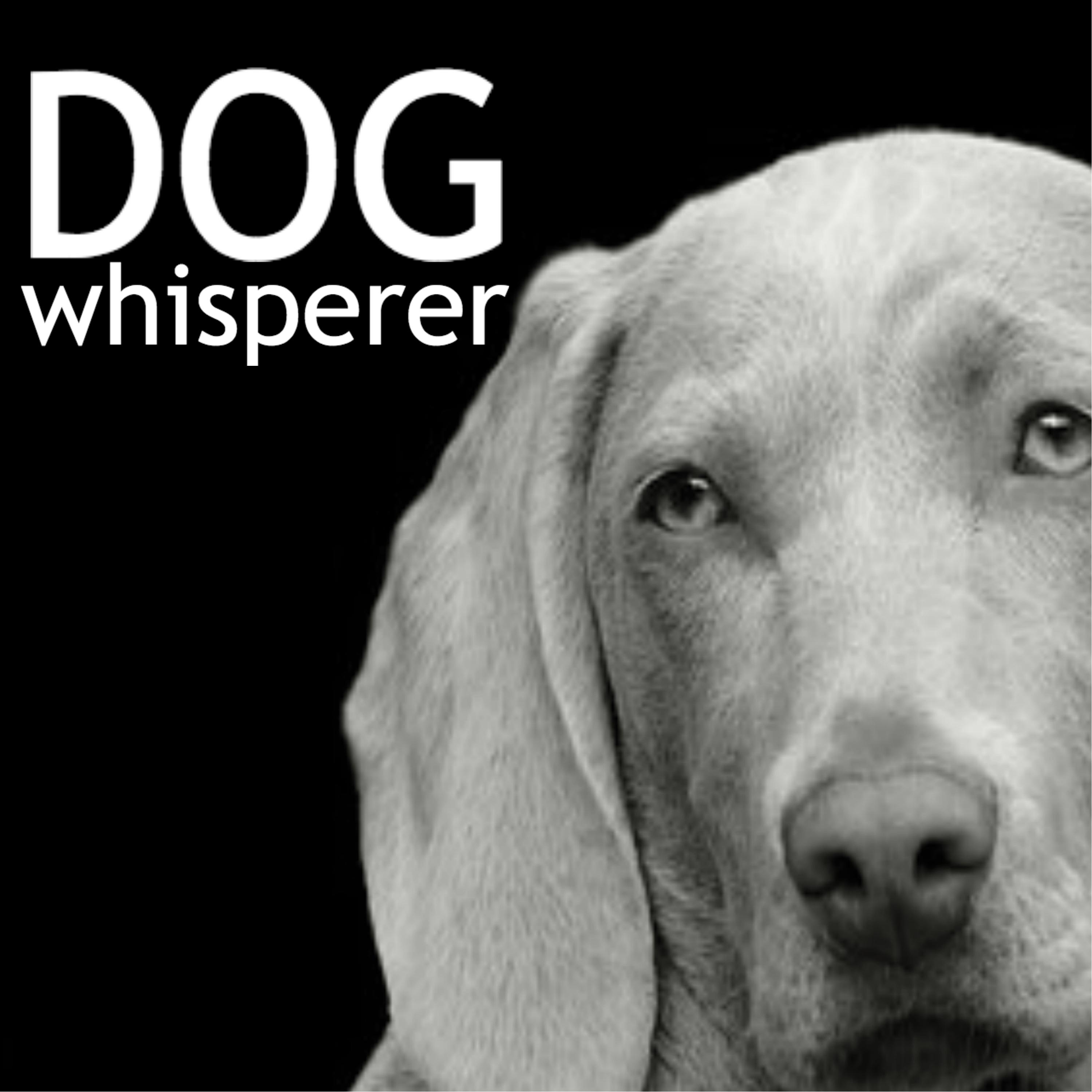 Dog Whisperer - Soft Instrumental Peaceful Music to Comfort Puppies and Adult Dogs