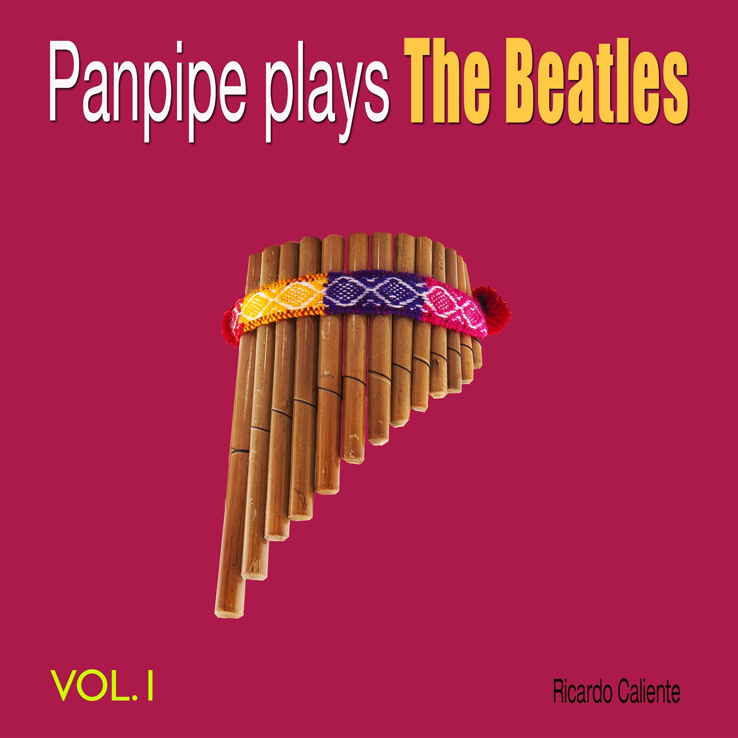 Panpipe Plays the Beatles, Vol. 1