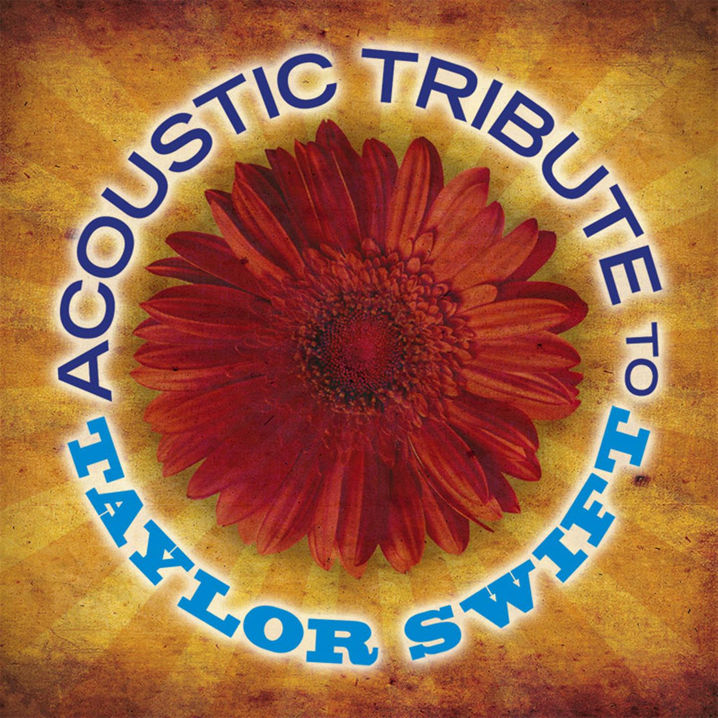 Acoustic Tribute to Taylor Swift