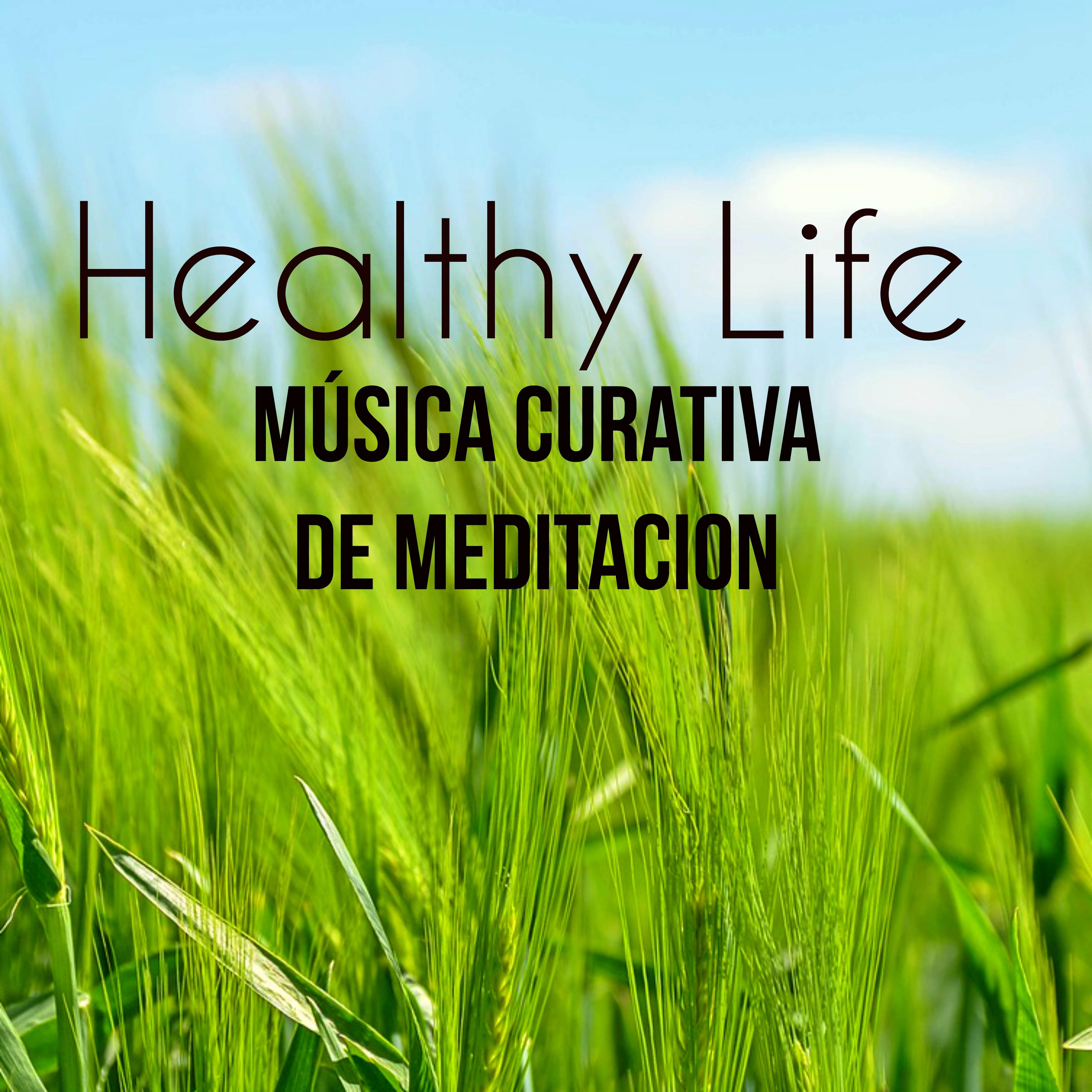 Healthy Life  Mu sica Curativa de Meditacion para Mente Brillante Estudiar Limpieza de Chakras con Sonidos Instrumentales New Age Naturales