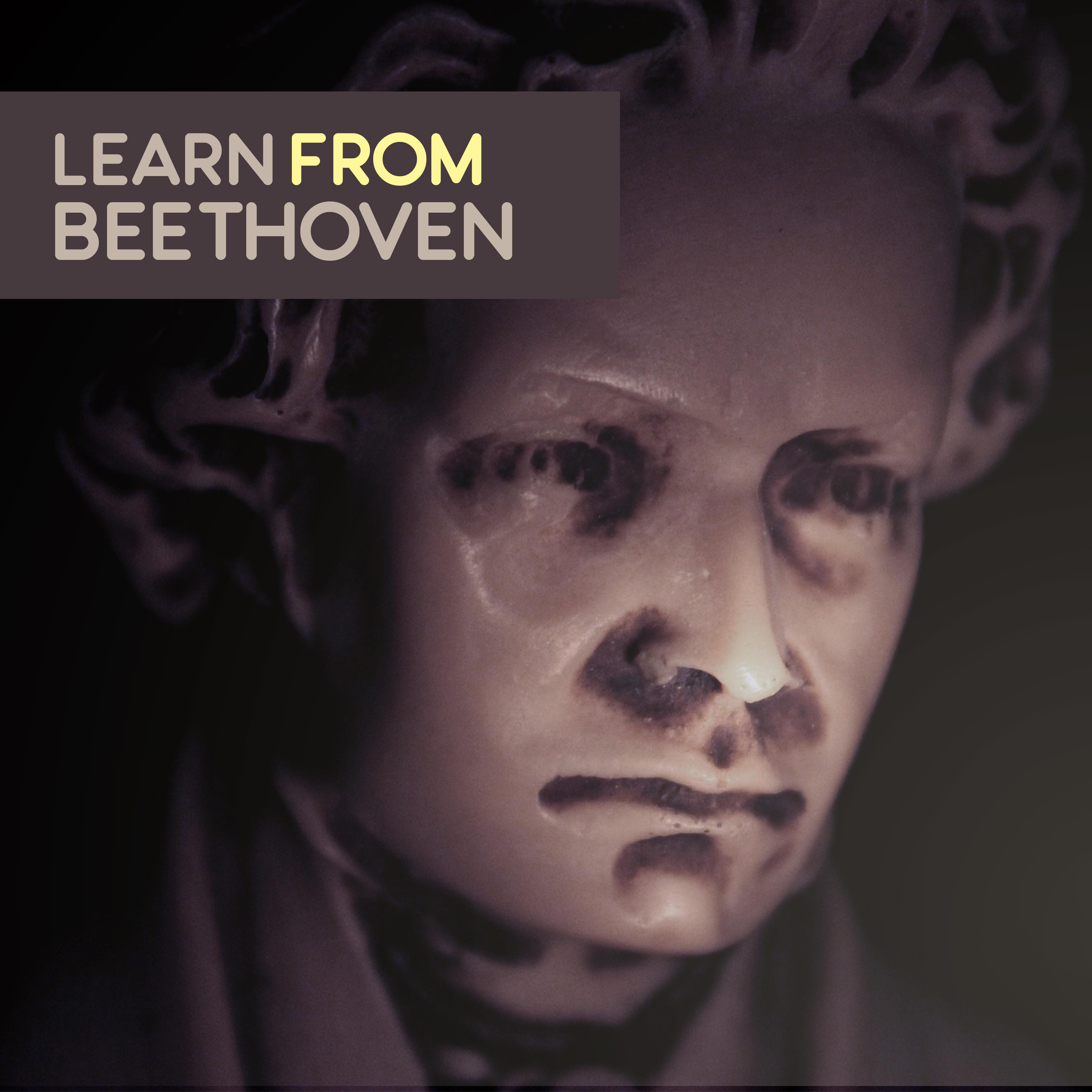 Learn from Beethoven  Studying Music, Focus, Stress Relief, Music Helps Pass Exam, Easy Work