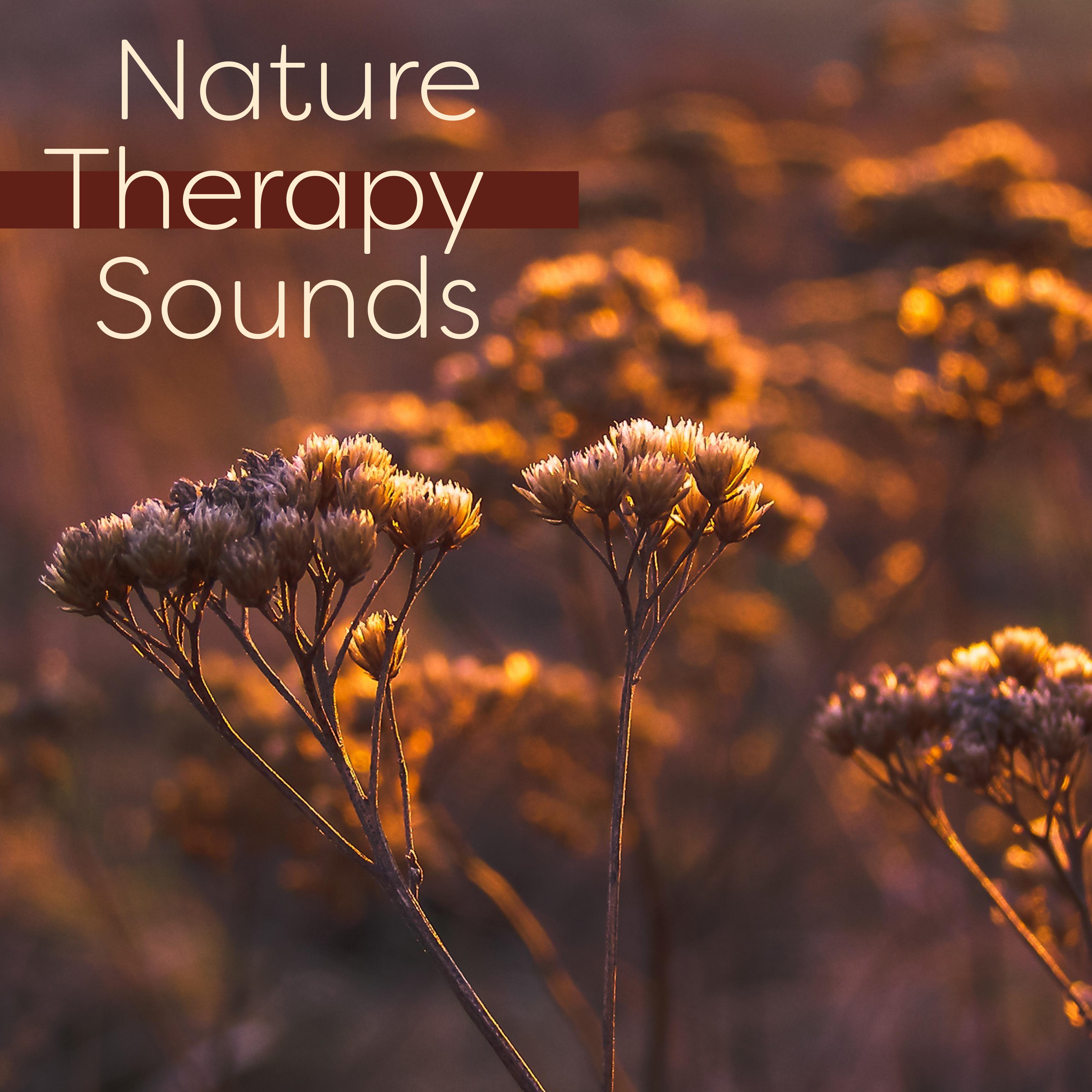 Nature Therapy Sounds  Music to Rest, Spirit Relaxation, Healing Waves