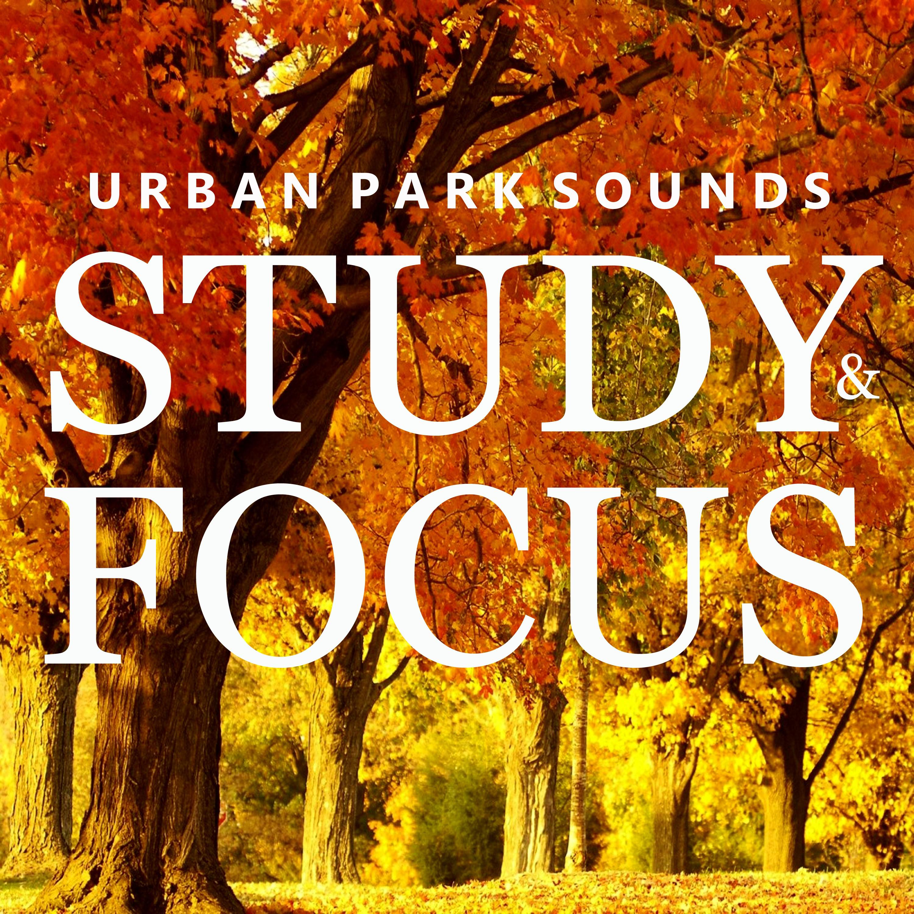 Urban Park Sounds for Studying, Pt. 18