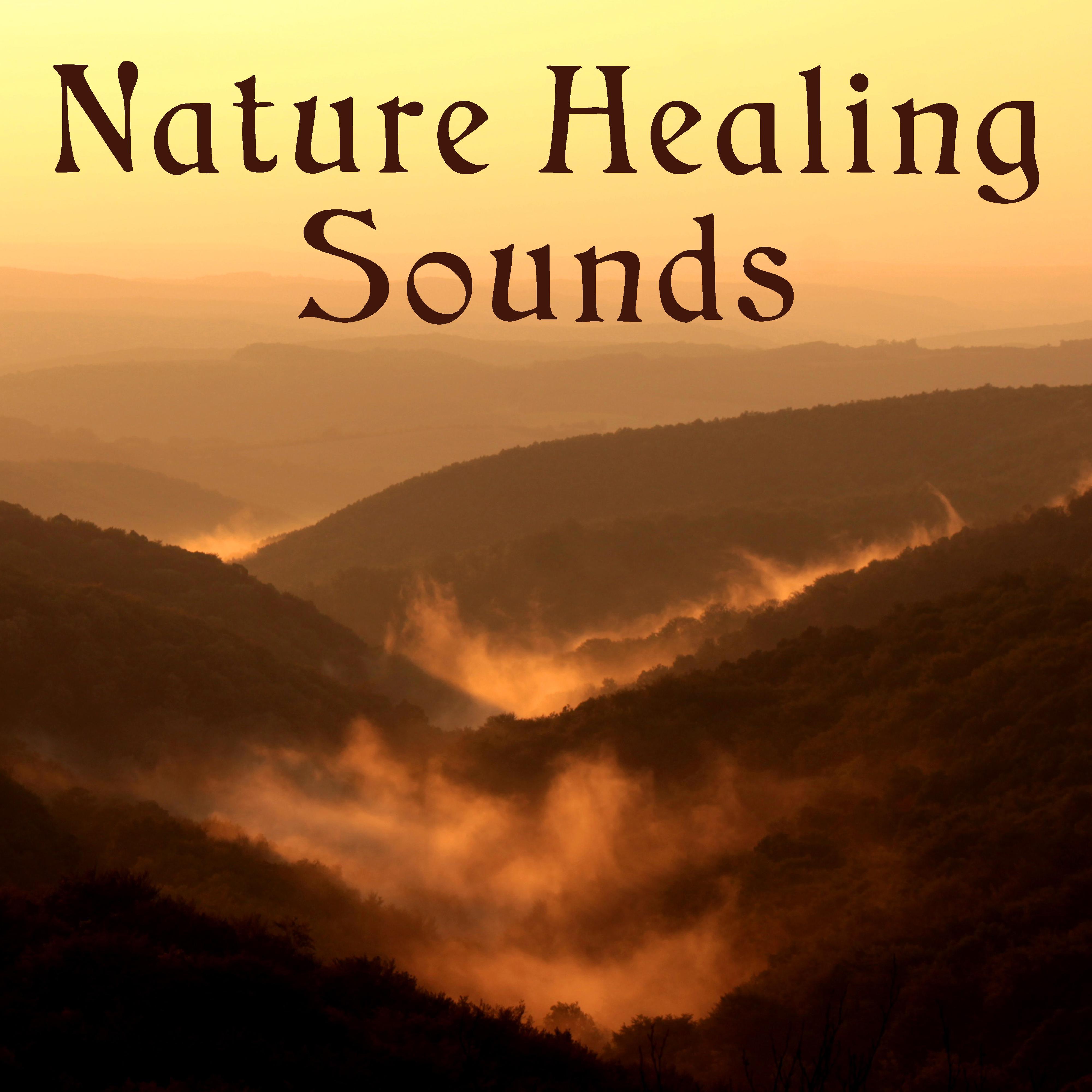 Nature Healing Sounds  Soothing Sounds to Relax, Easy Listening, New Age Rest, Healing Melodies