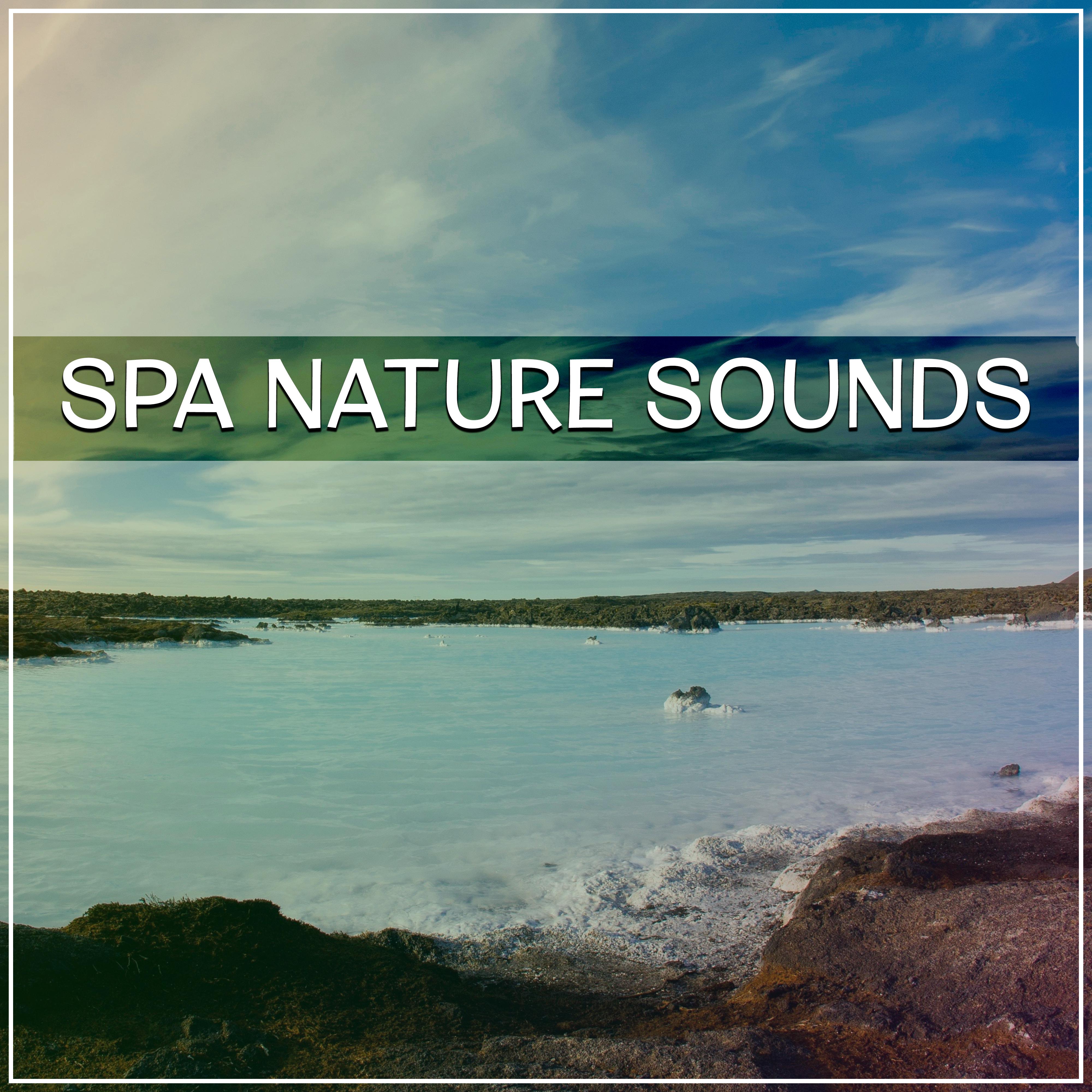 Spa Nature Sounds  Relaxing New Age Music, Rest in Spa, Soft Sounds for Massage