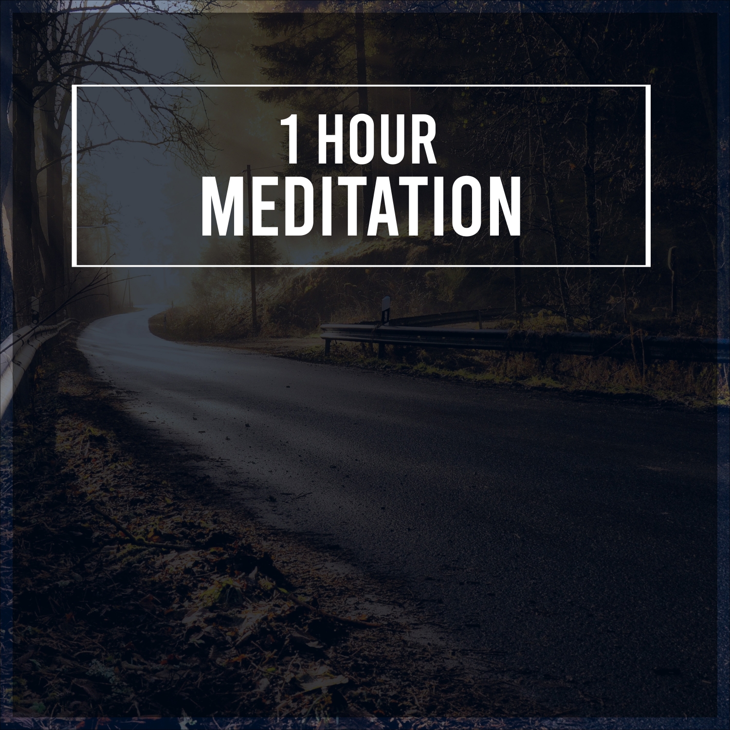 1 Hour of Meditation and Nature Sounds