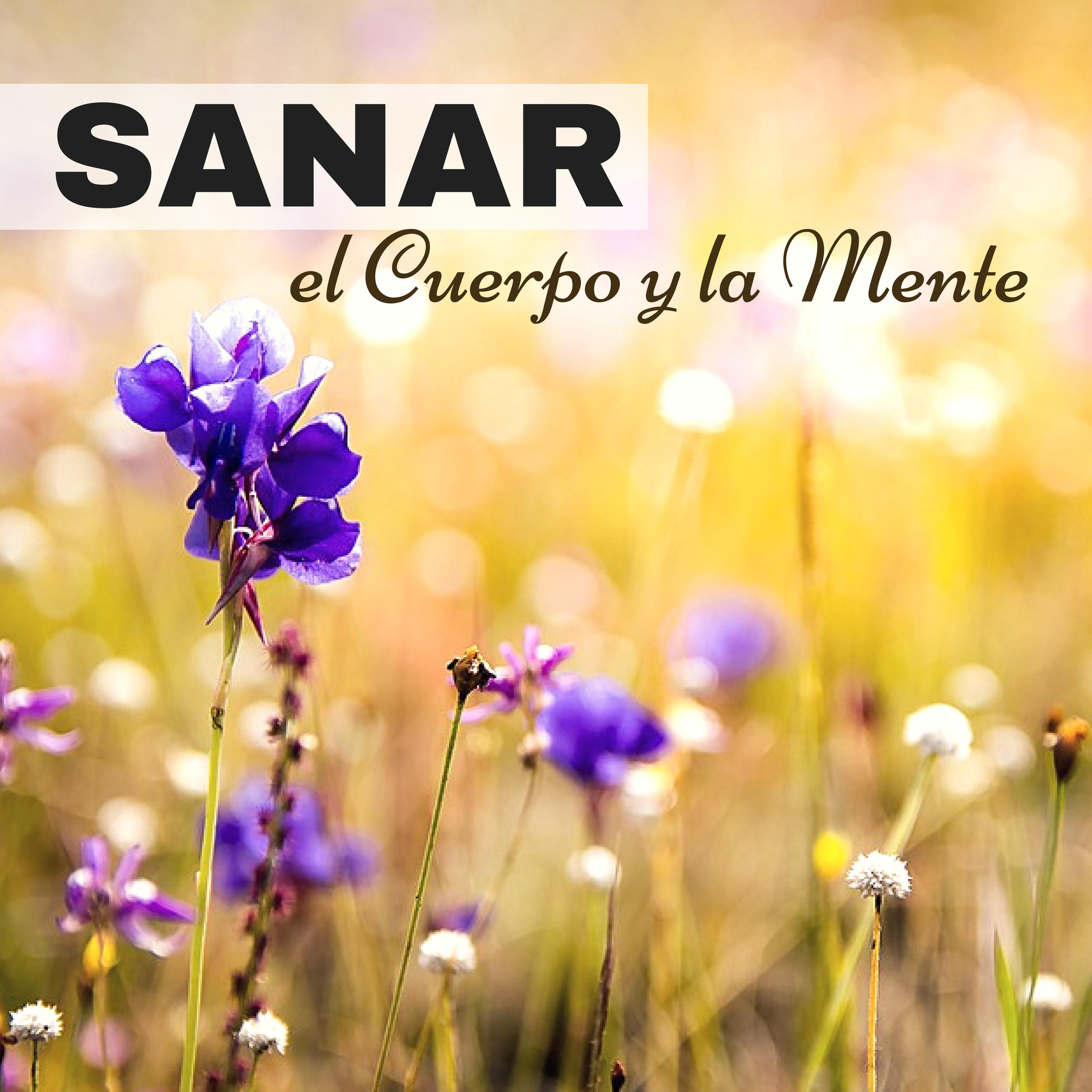 Sanar el Cuerpo y la Mente  Mu sica Instrumental para Relajarse Profundamente