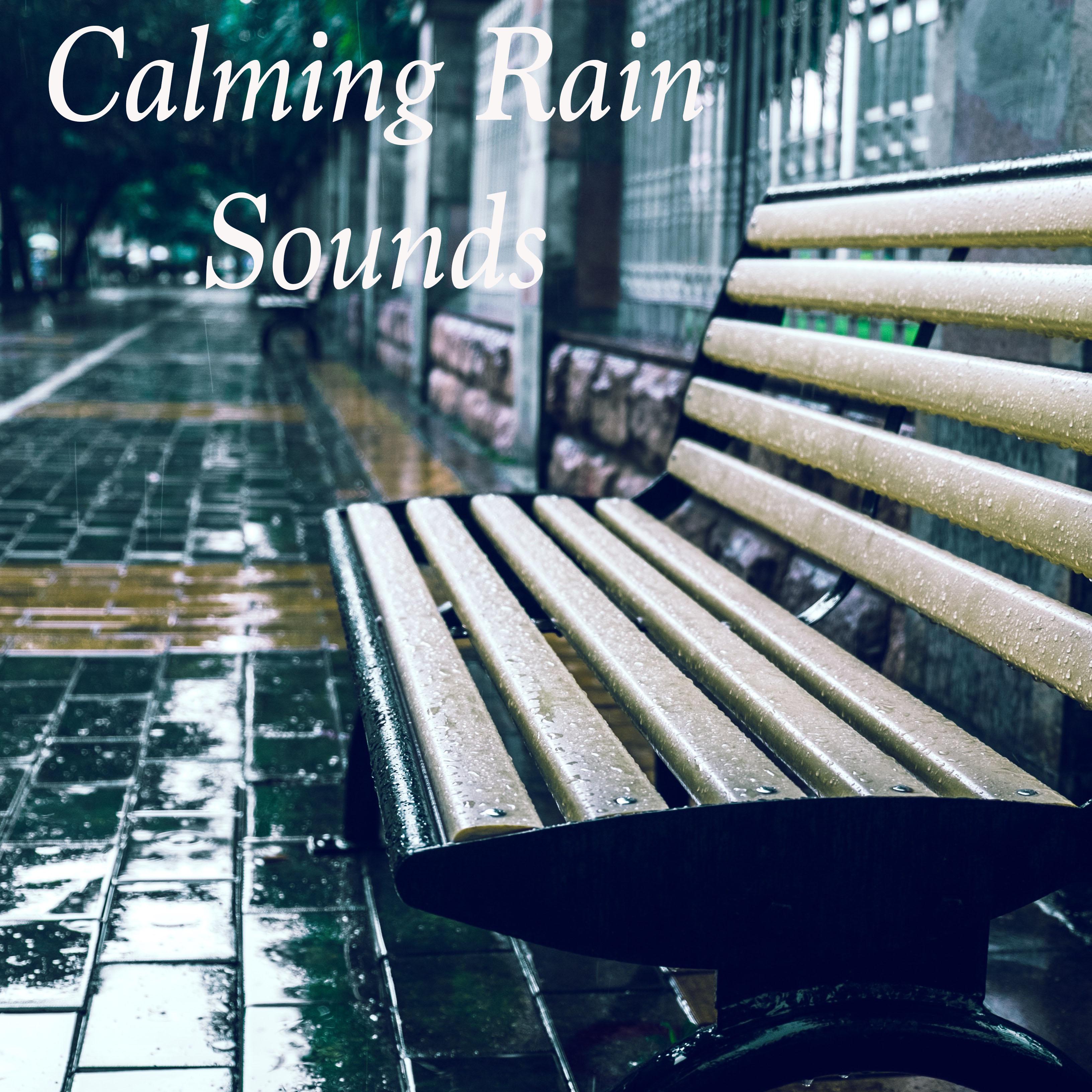 12 Calming Rain Sounds - Nature Sounds