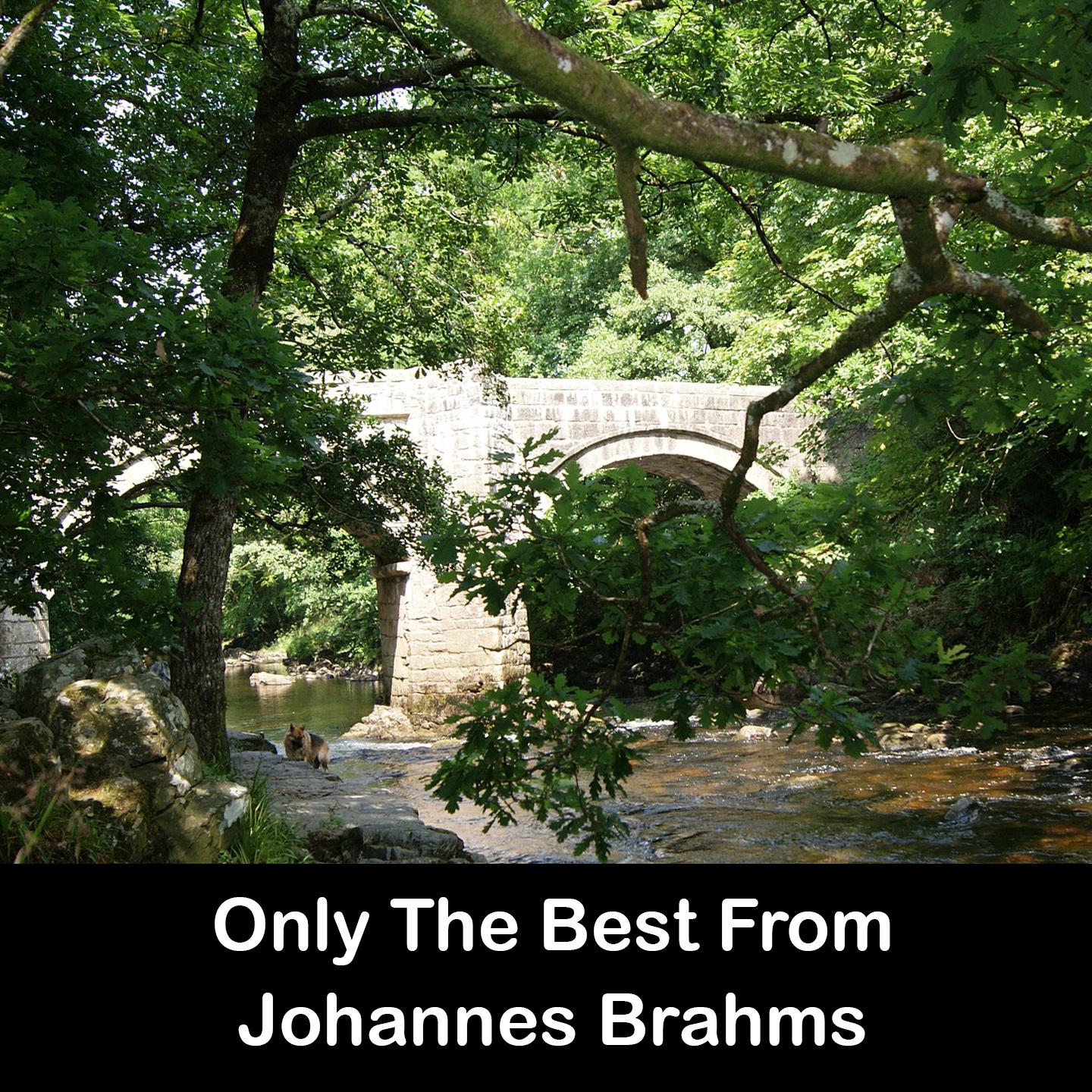 Only The Best From Johannes Brahms