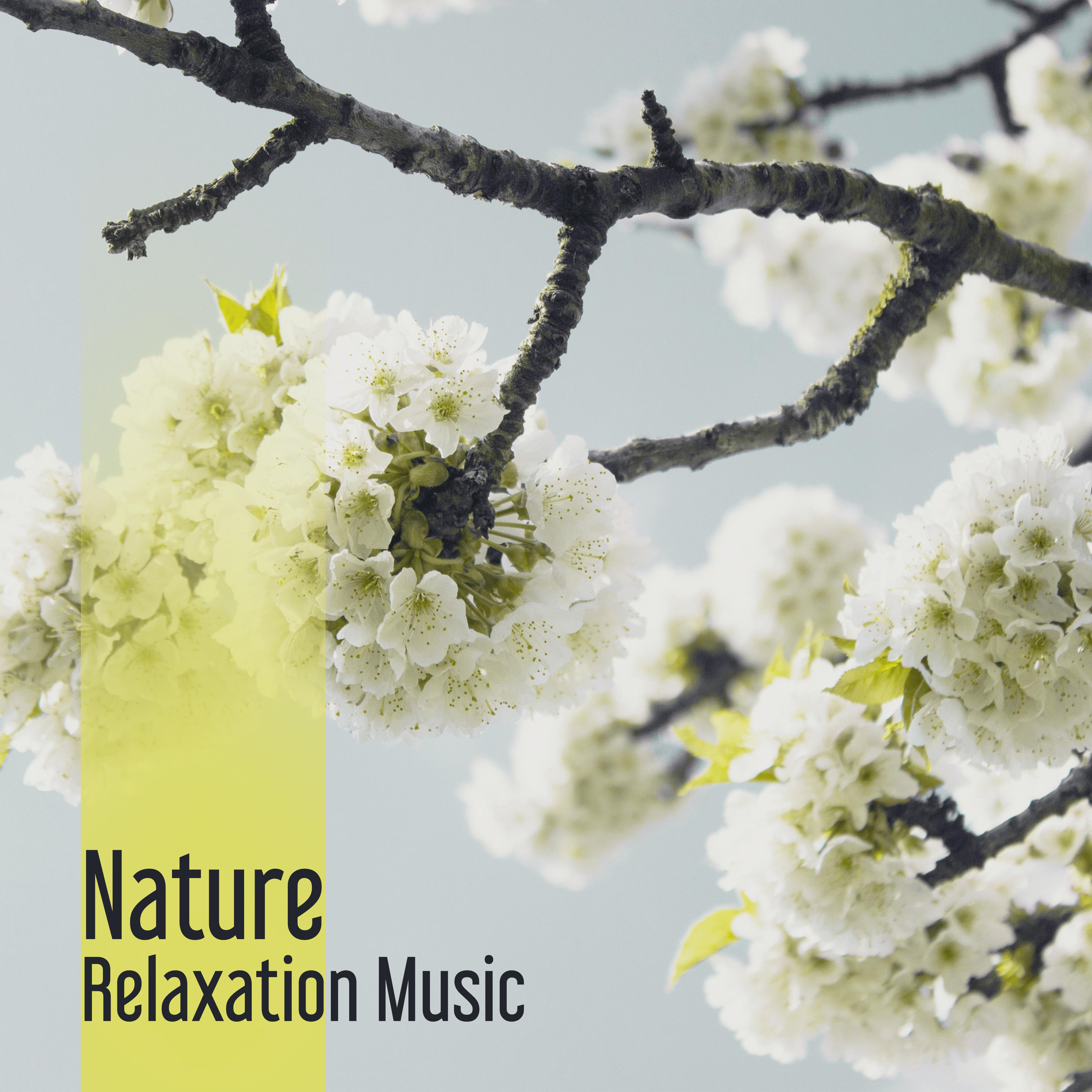 Nature Relaxation Music  Soothing New Age Sounds, Music to Calm Down, Rest  Relax, Nature Healing Waves, Inner Silence