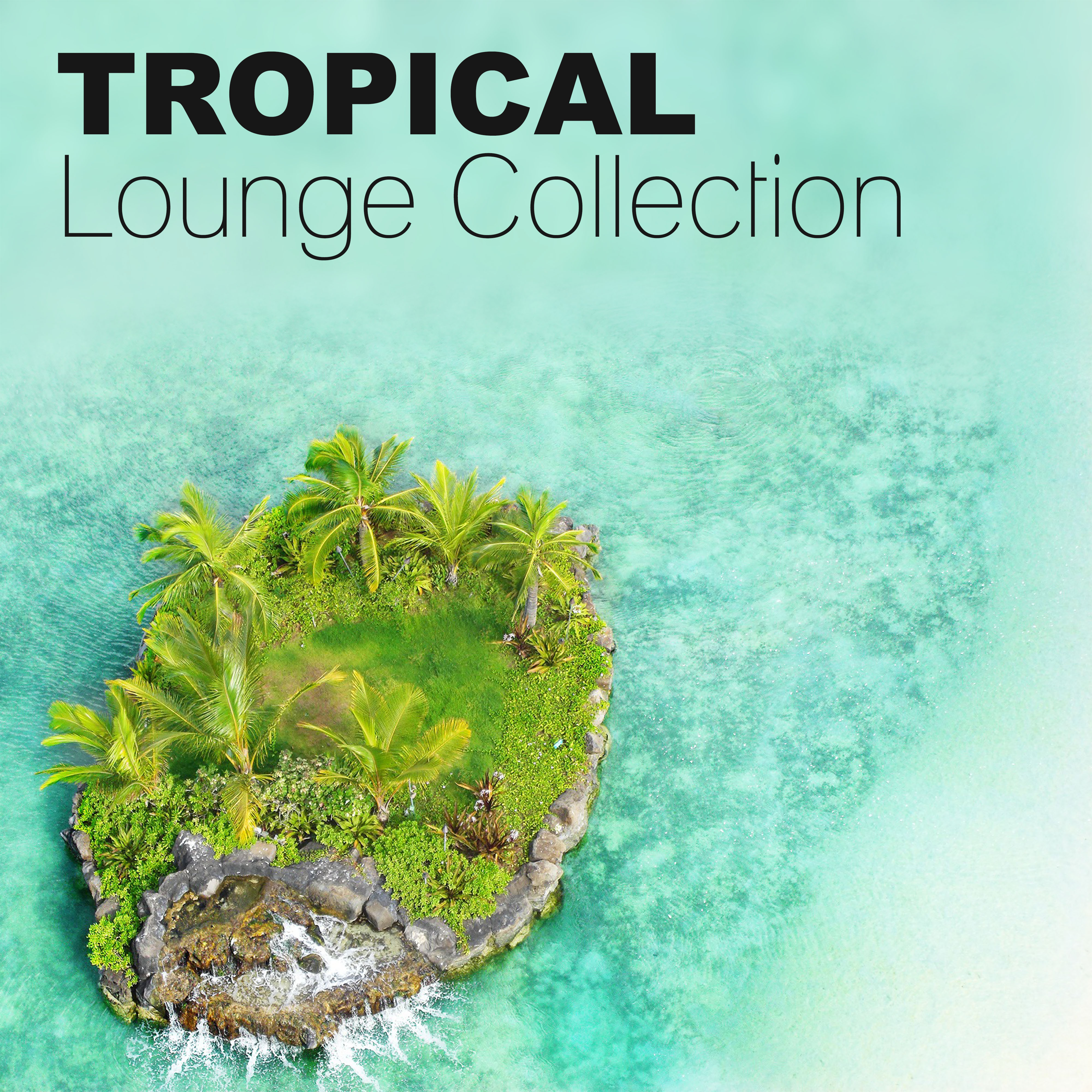 Tropical Lounge Collection  Tropical Chill House, Ibiza Beach Party, Miami to Ibiza