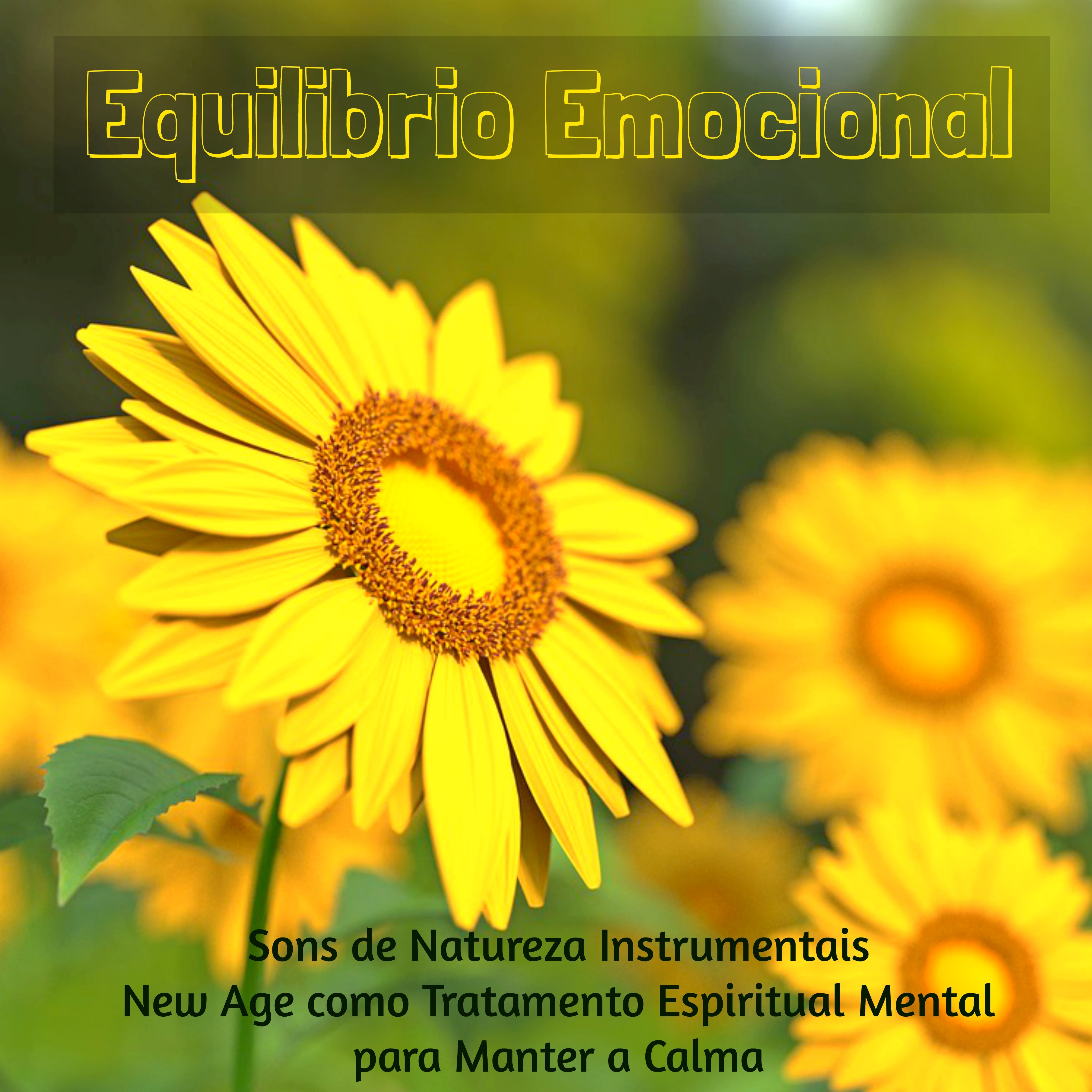 Equilibrio Emocional  Sons de Natureza Instrumentais New Age como Tratamento Espiritual Mental para Manter a Calma, Musicas Relaxantes de Medita o