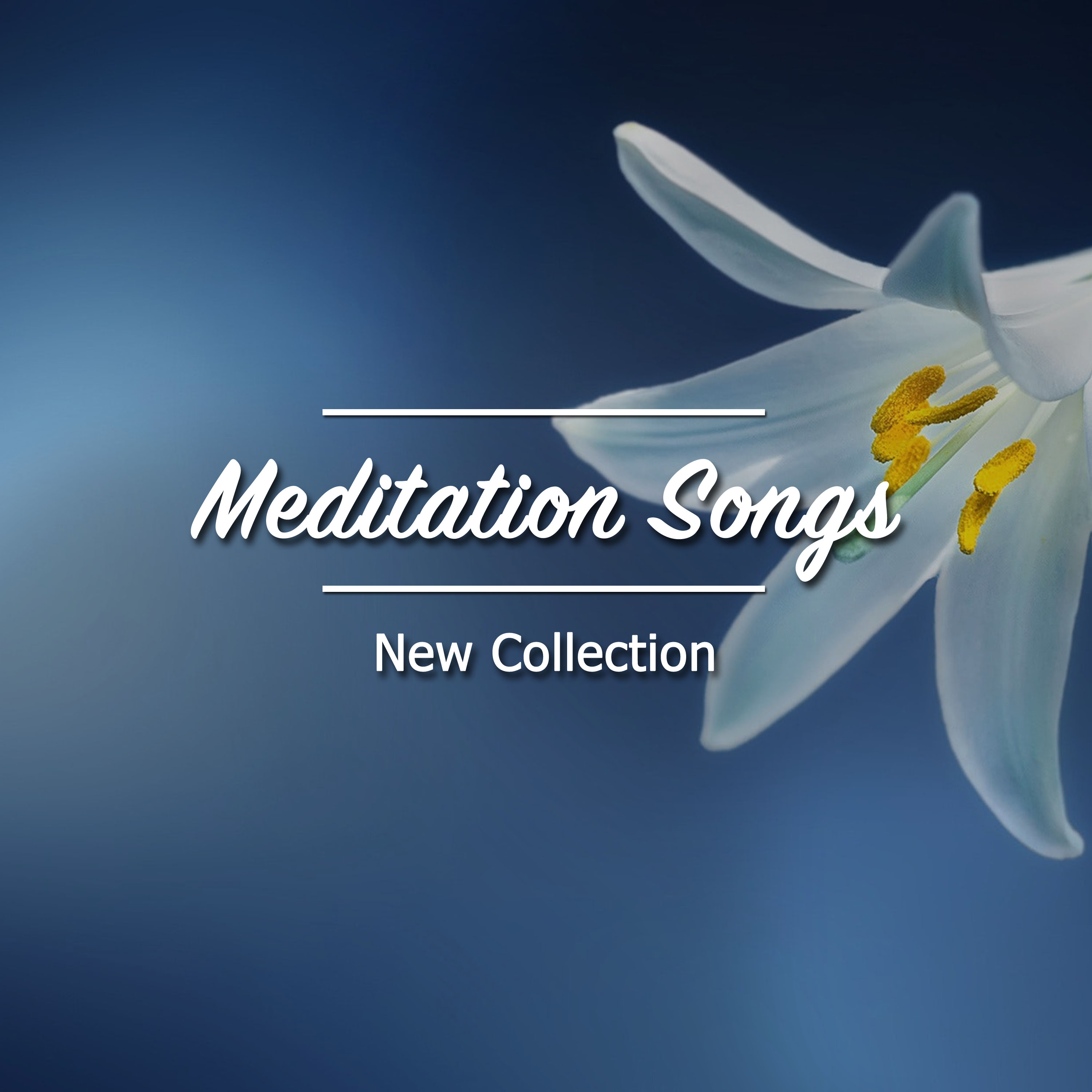 2018 New Collection of Meditation Songs