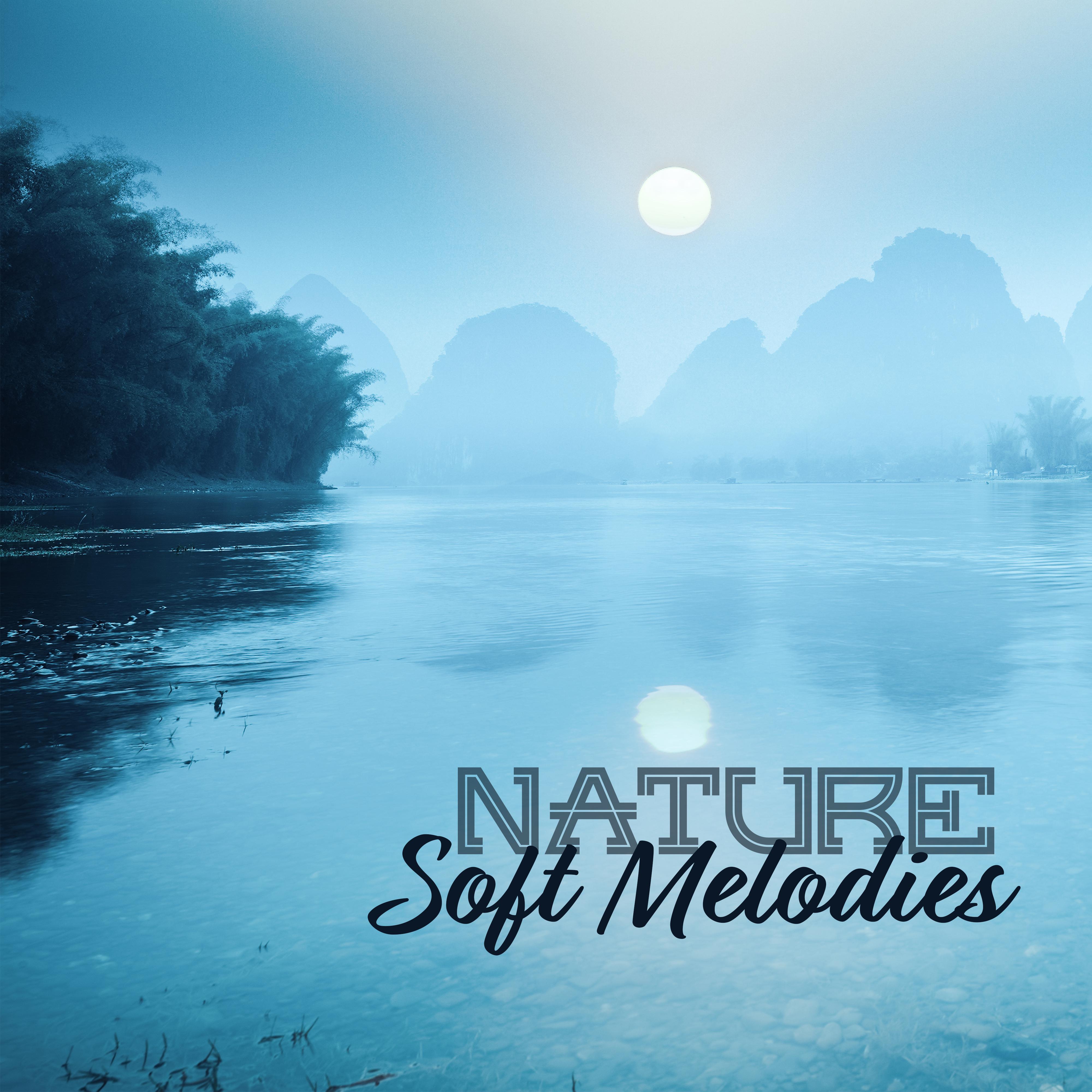 Nature Soft Melodies
