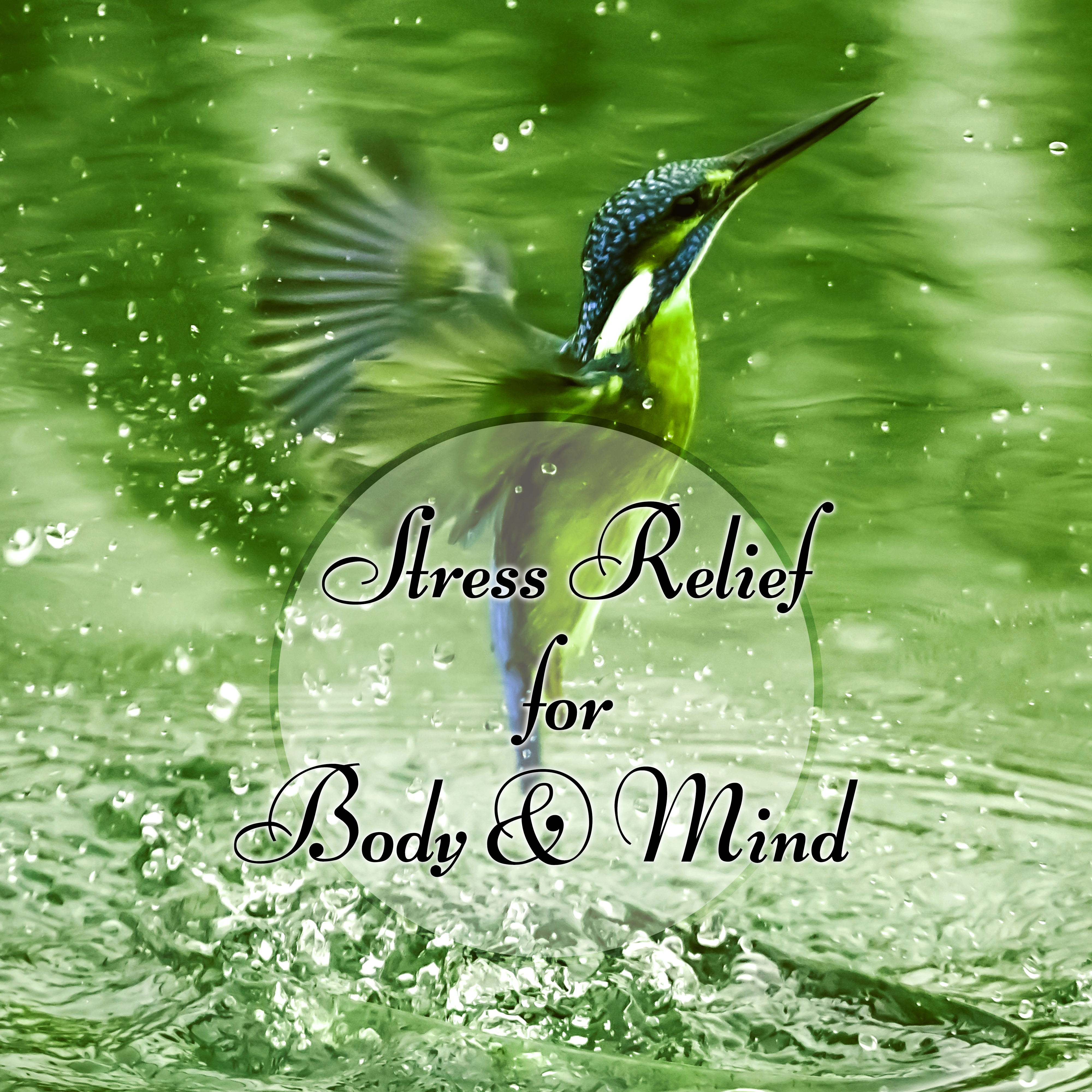 Stress Relief for Body  Mind  Gentle Massage Music for Aromatherapy, Background Music for Inner Peace