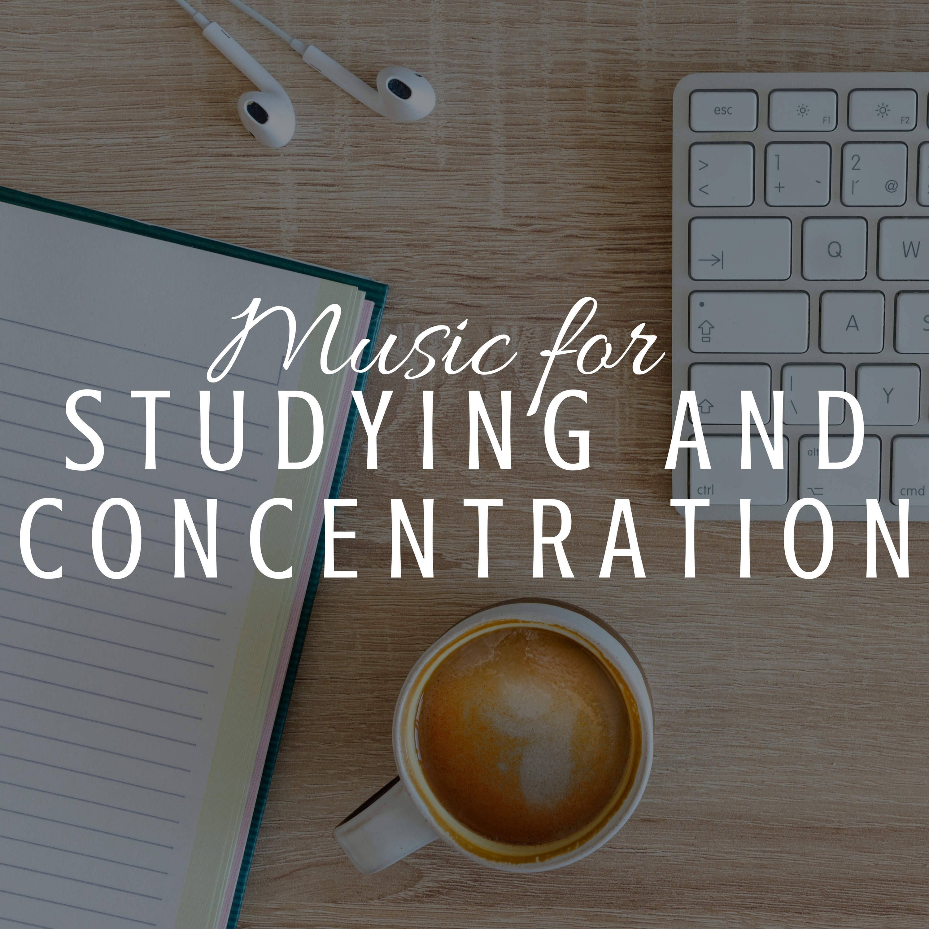 Music for Studying and Concentration