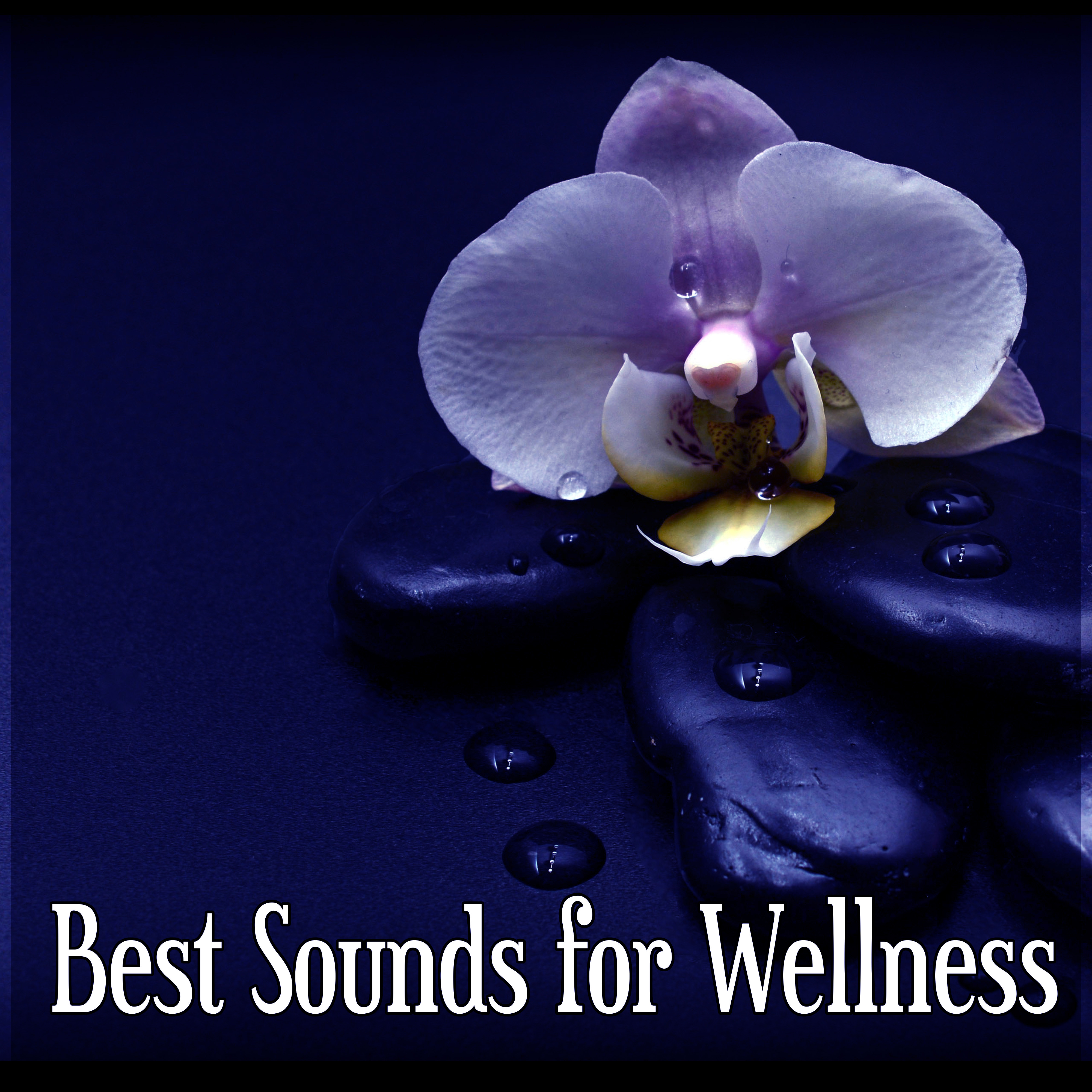 Best Sounds for Wellness  Calm Music for Meditation, Deep Sounds for Concentration, Psyhical Therapy, Natural White Noise, Sounds of Nature, Sensual Massage