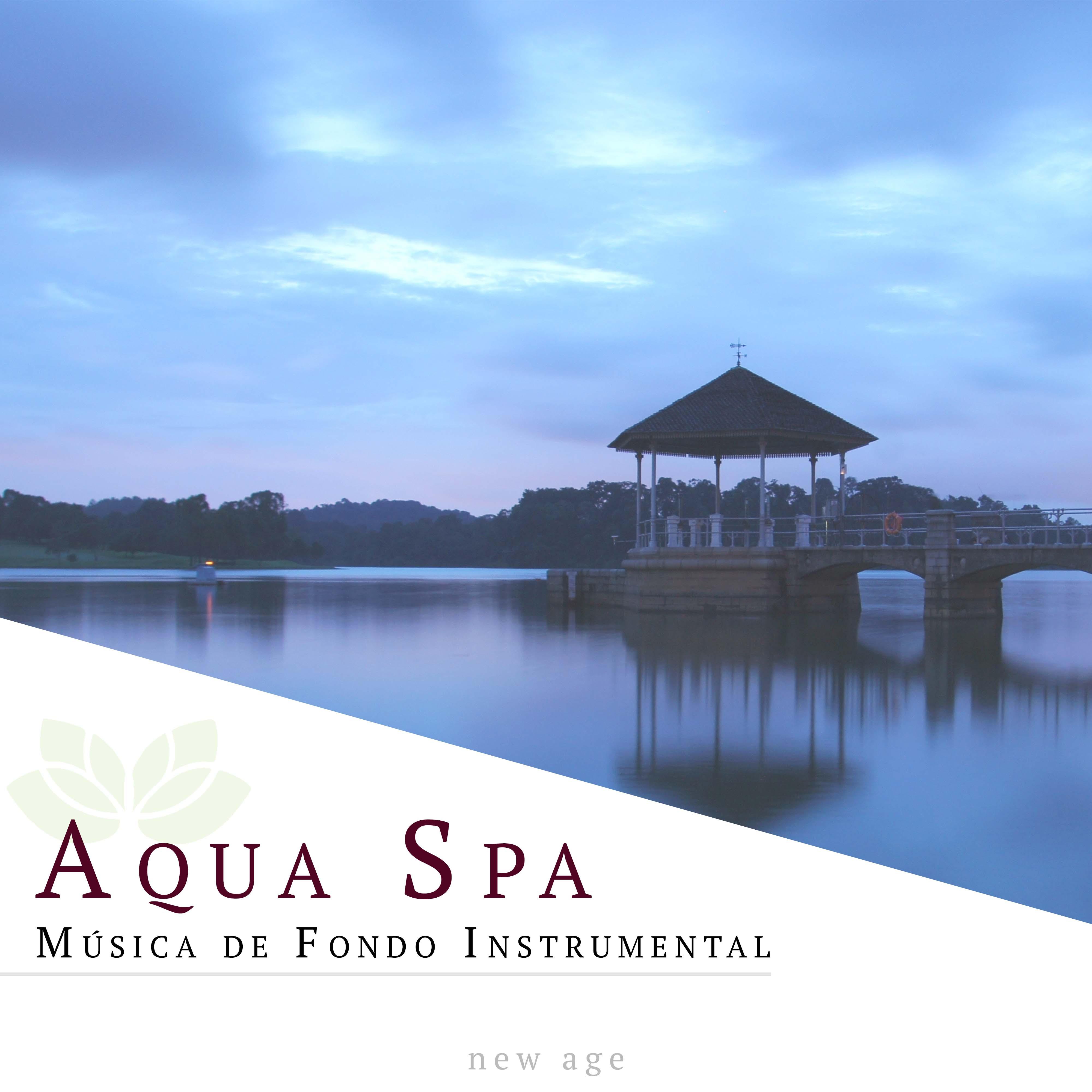 Aqua Spa: Musica de Fondo Instrumental para la Relajacio n de Mente y Cuerpo Sonidos de la Naturaleza