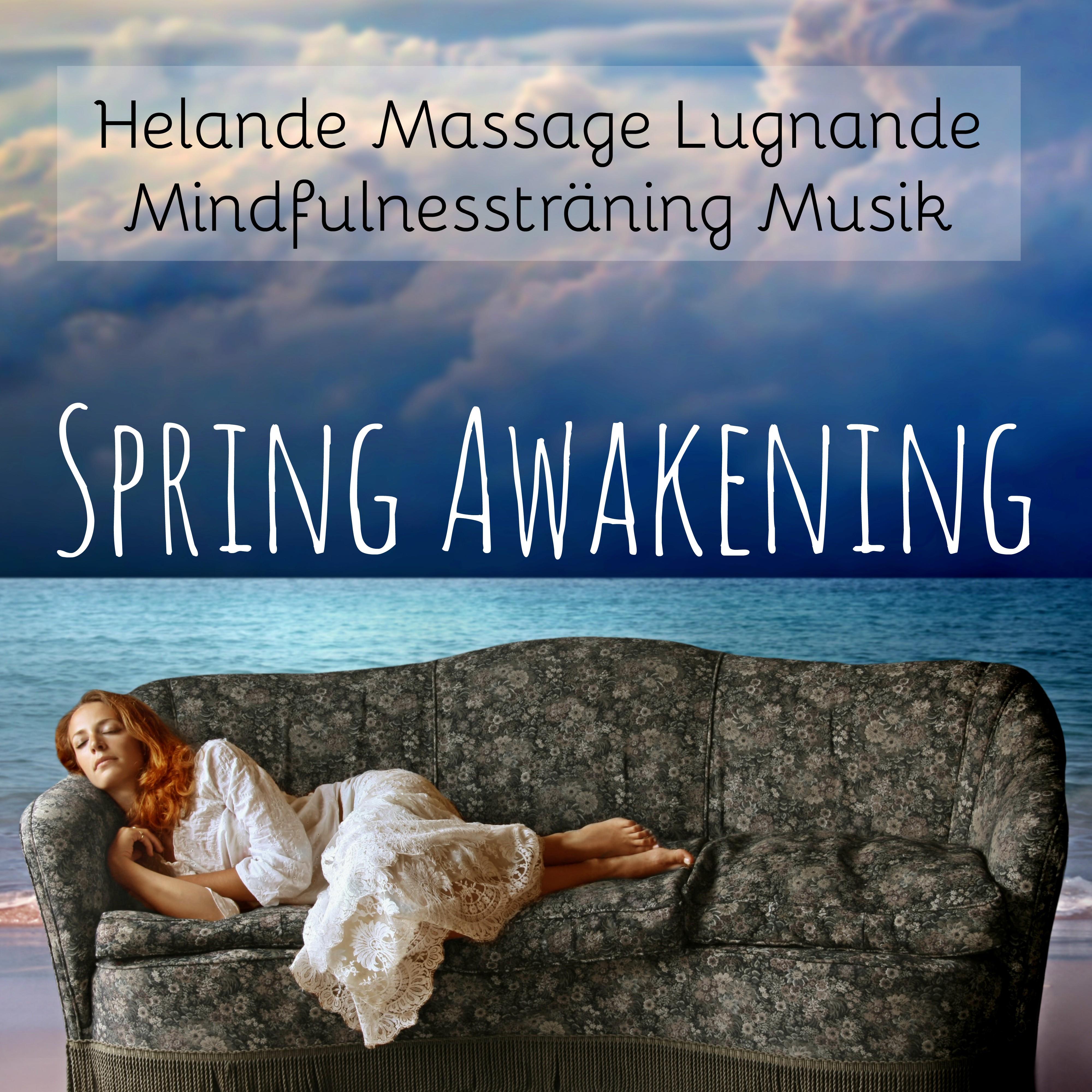 Spring Awakening  Helande Massage Lugnande Mindfulnesstr ning Musik med Natur Instrumental New Age Ljud